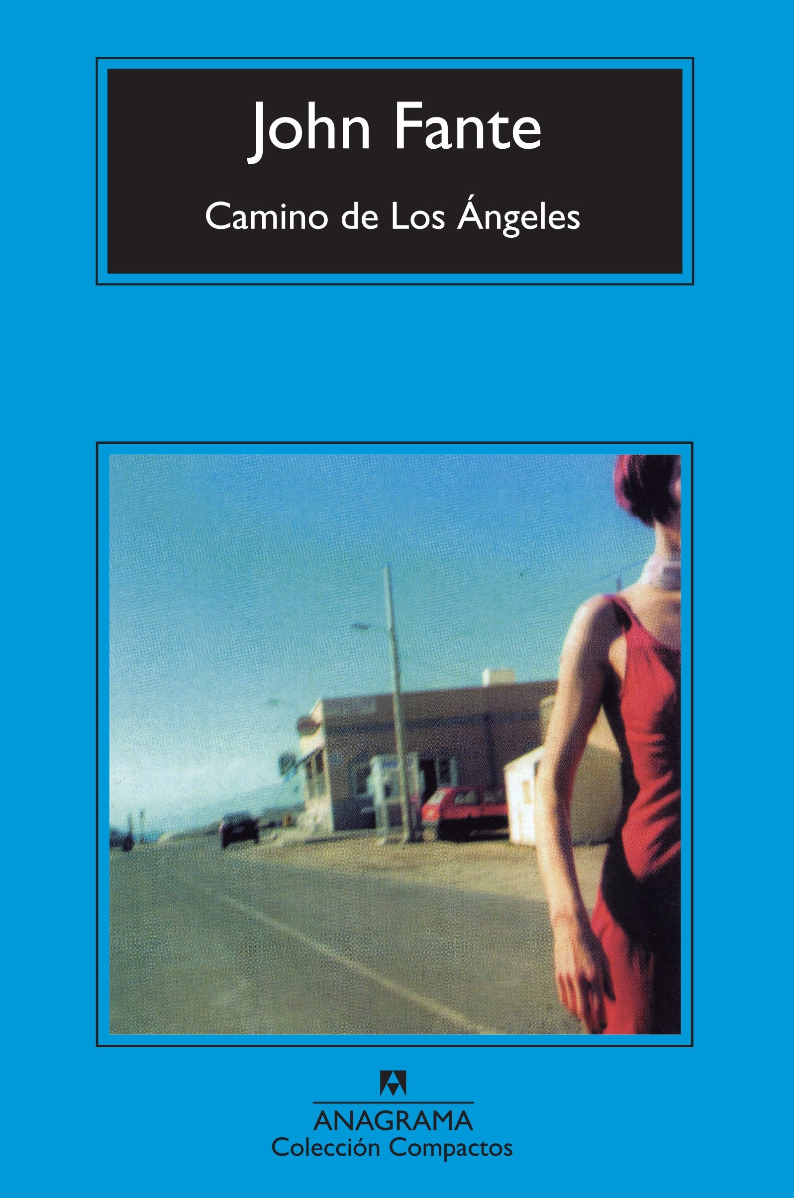 Camino de Los Ángeles book