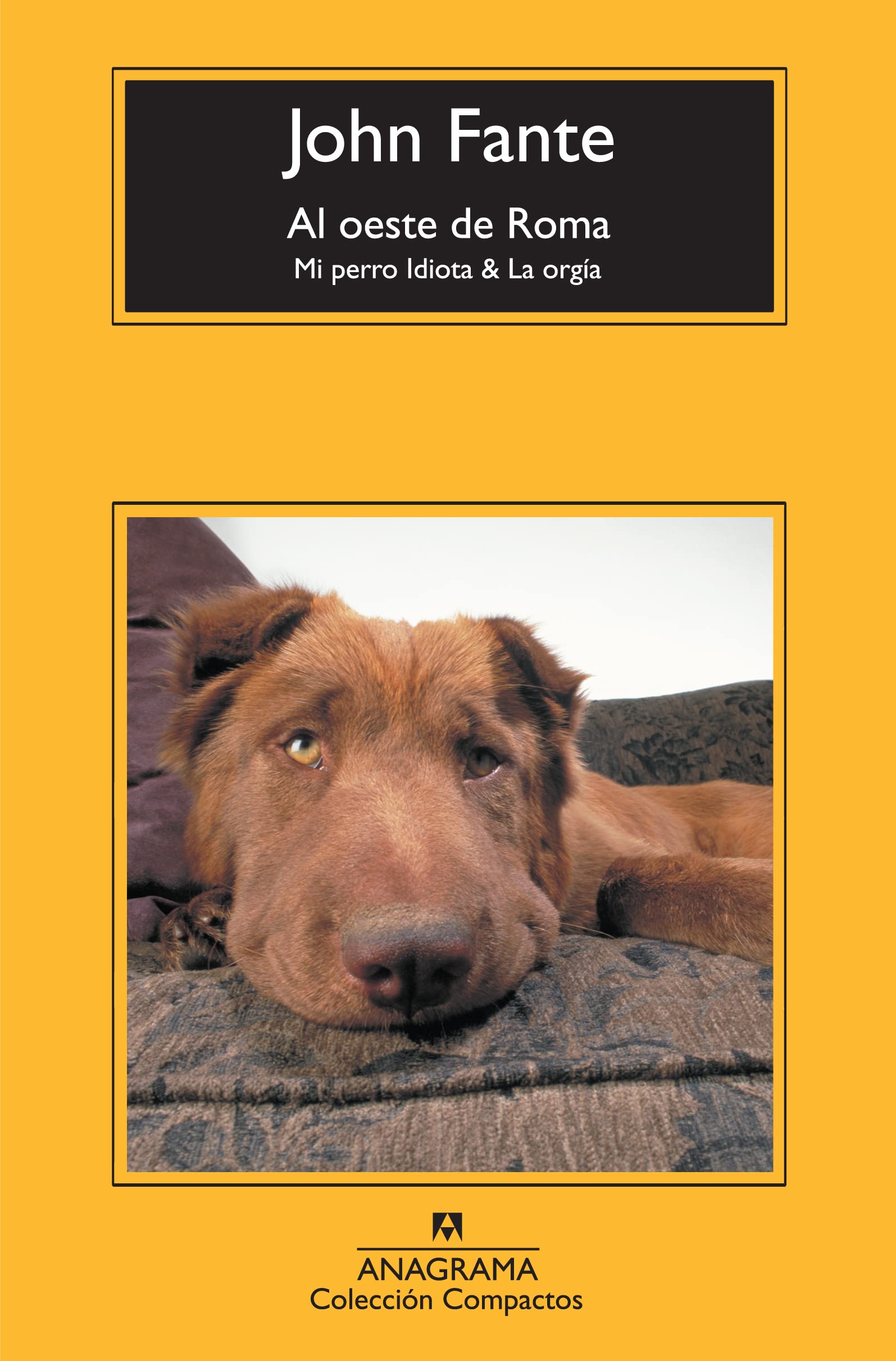 Al oeste de Roma : mi perro idiota & la orgía book