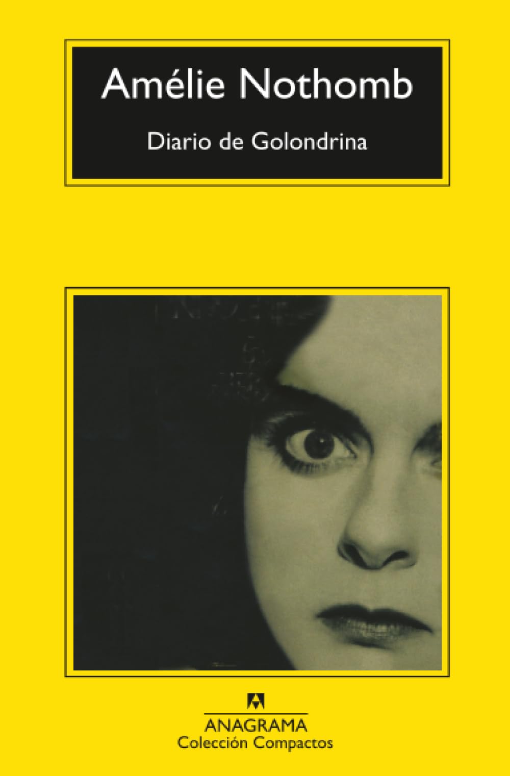 Diario de Golondrina Contemporary literature