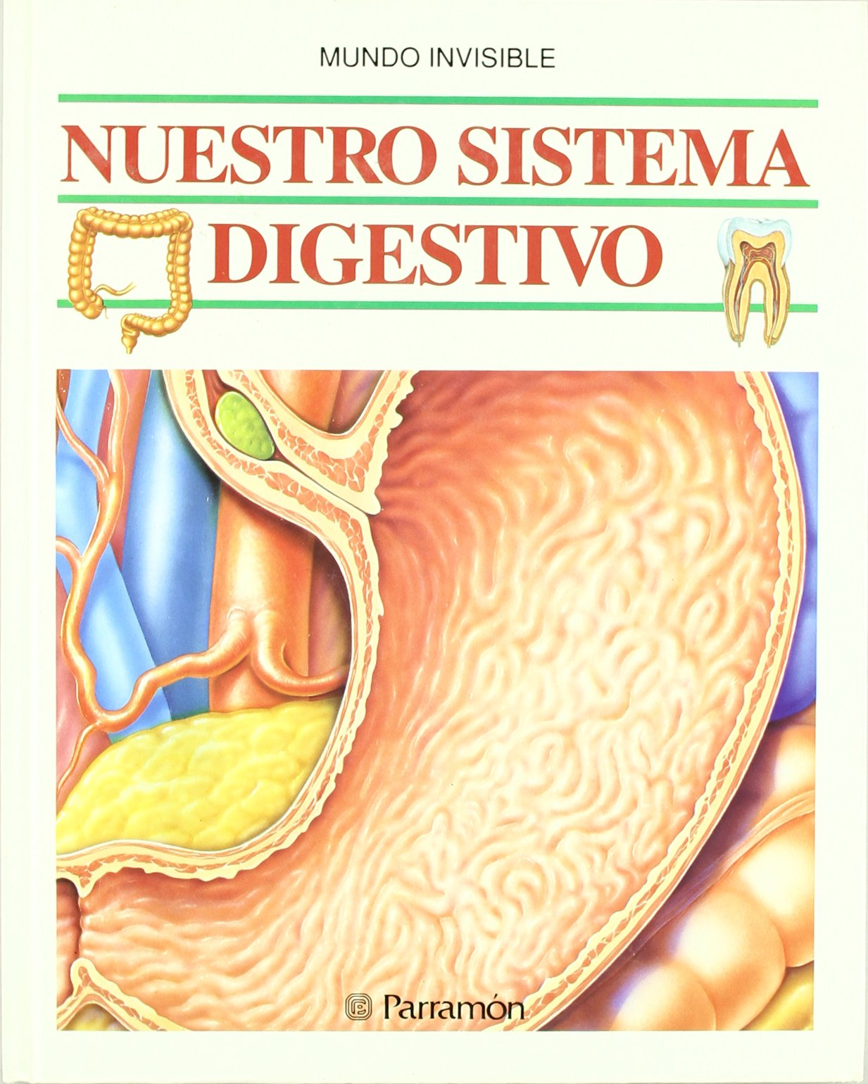 Nuestro sistema digestivo (Mundo Invisible) Medicine