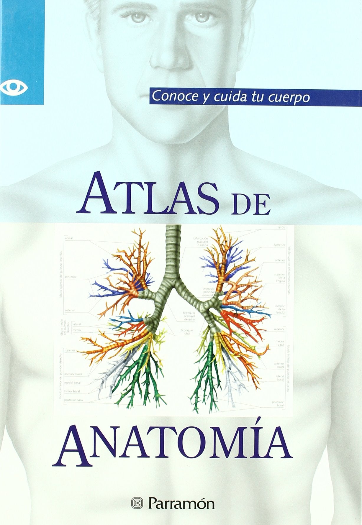 Atlas de anatomía : conoce y cuida tu cuerpo (Conoce Y Cuida Tu Cuerpo/Knowing and Caring for Your Body Series) Medicine