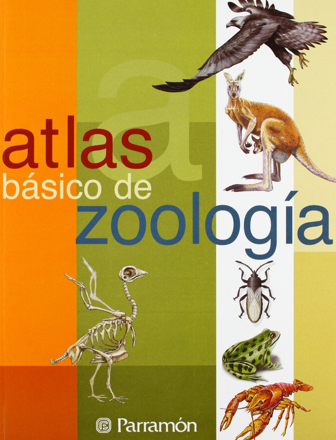 Atlas Basico de Zoologia / Basic Atlas of Zoology book