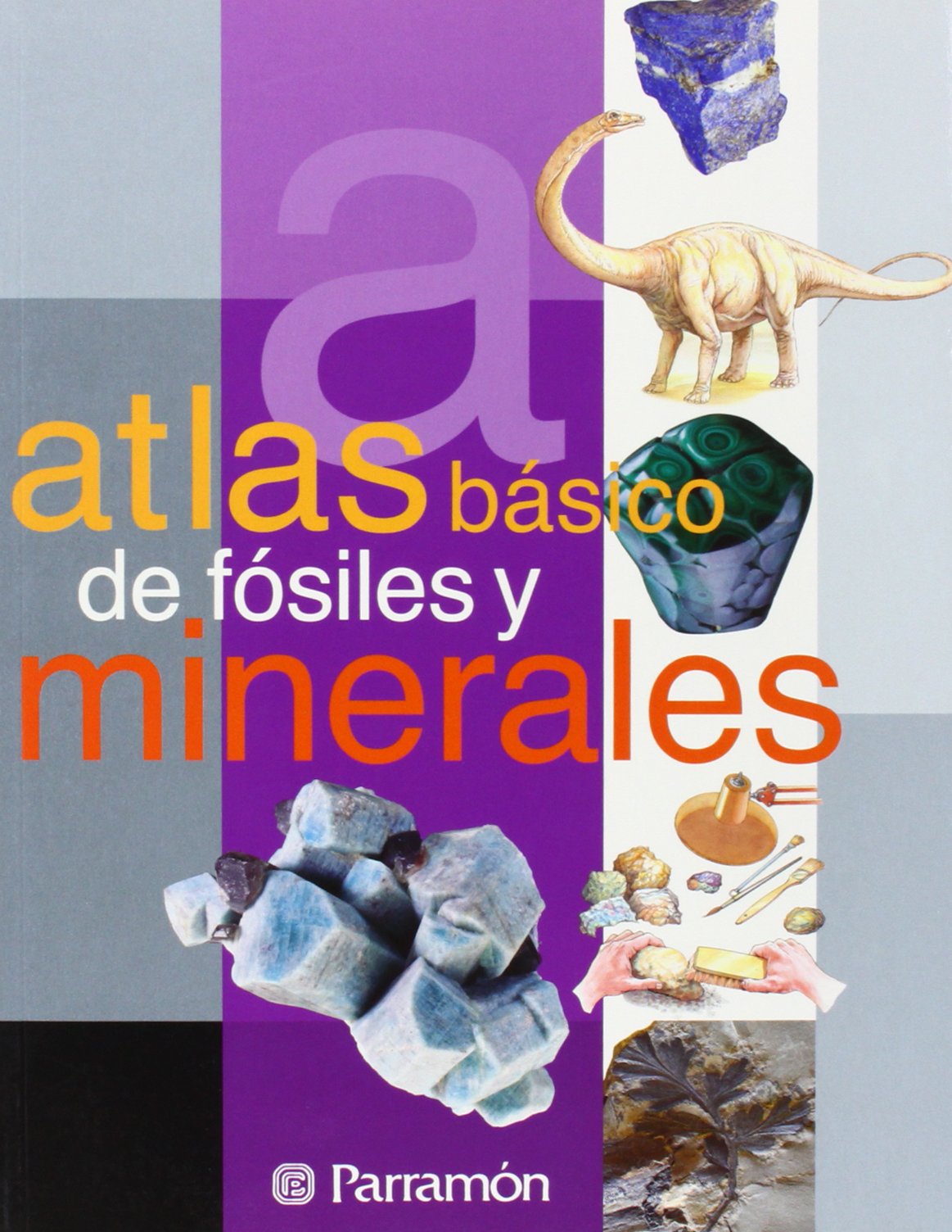 Atlas básico de fósiles y minerales (Atlas básicos) Learning & Reference