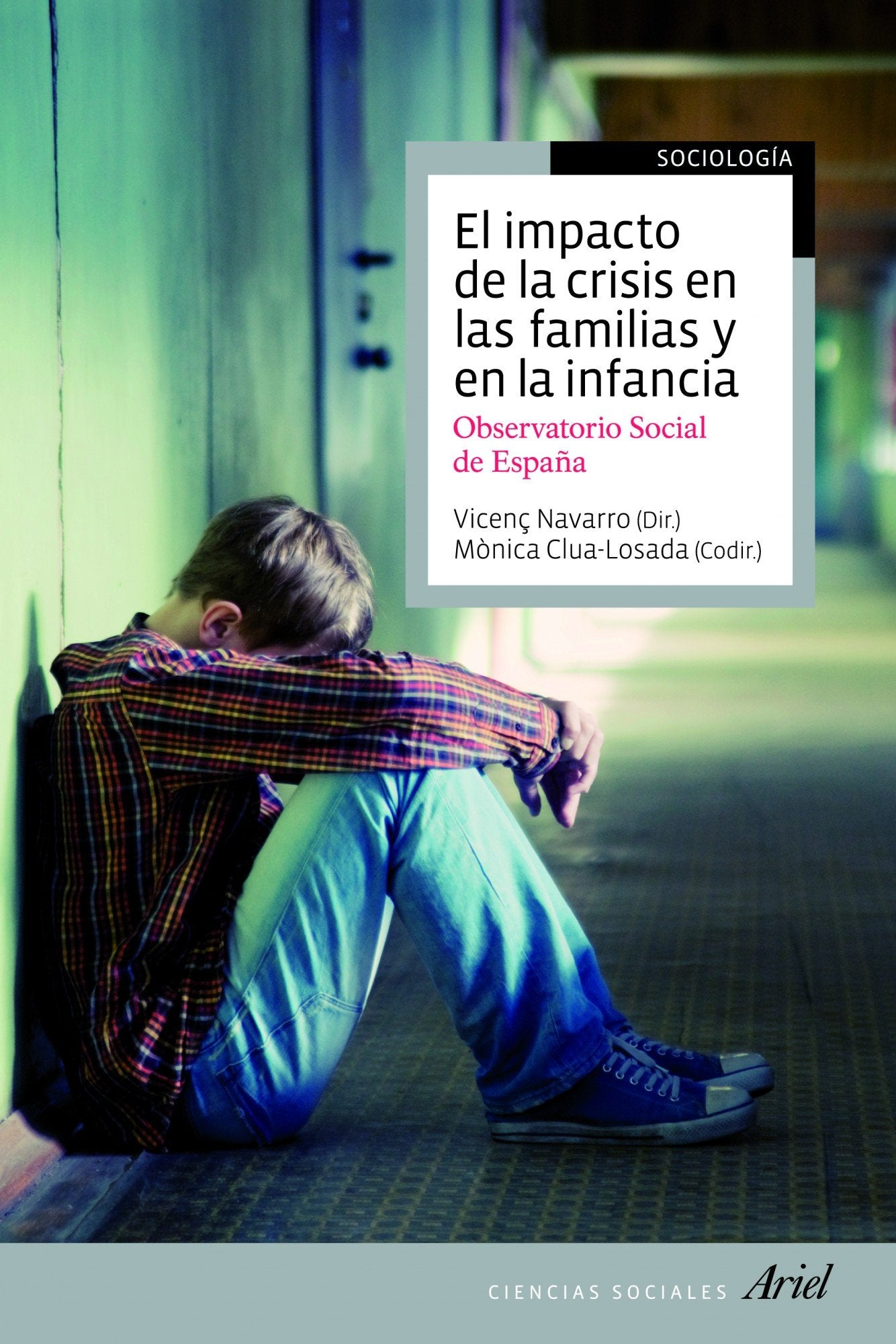 El impacto de la crisis en las familias y en la infancia: Observatorio social de España book
