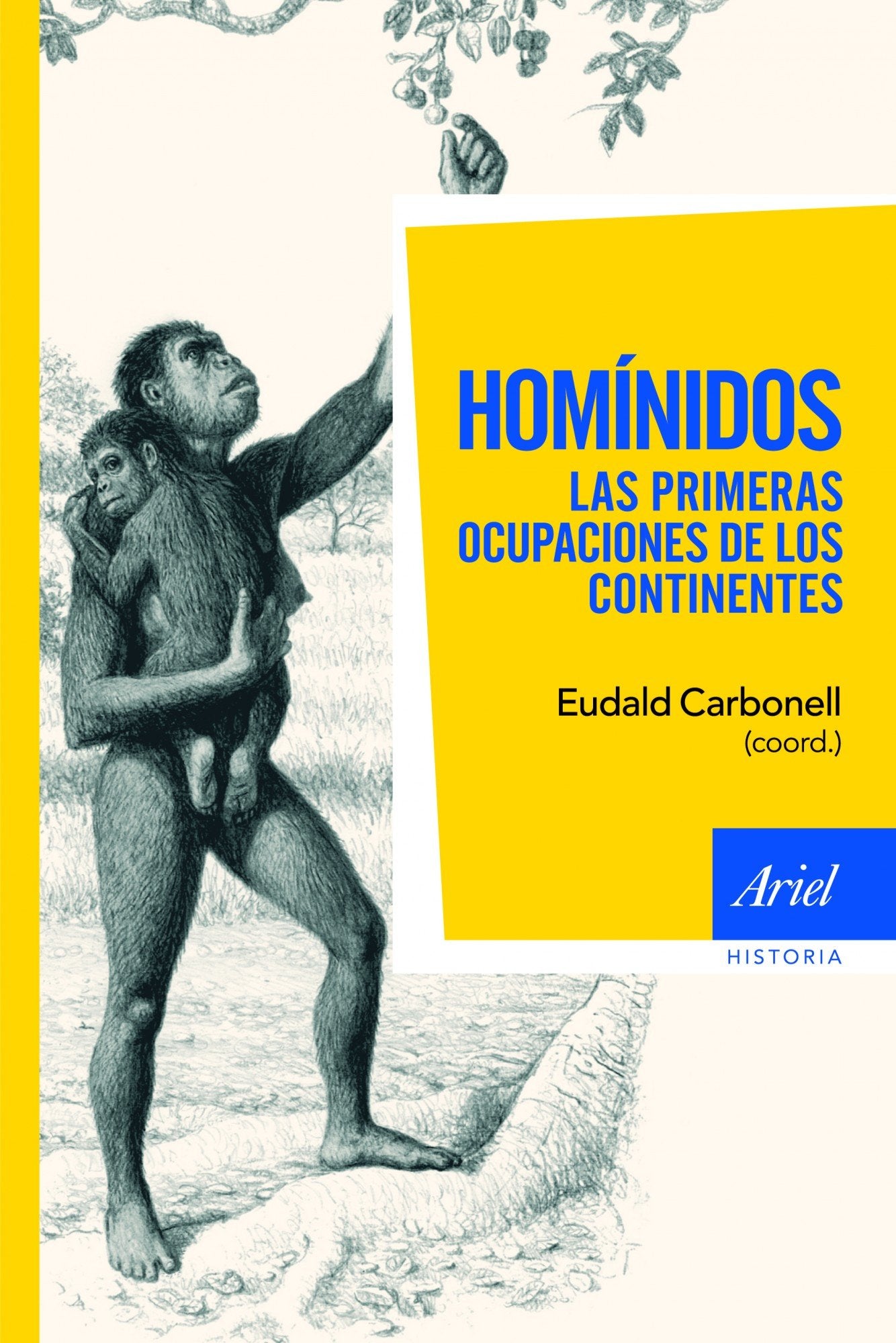 Homínidos, las primeras ocupaciones de los continentes book