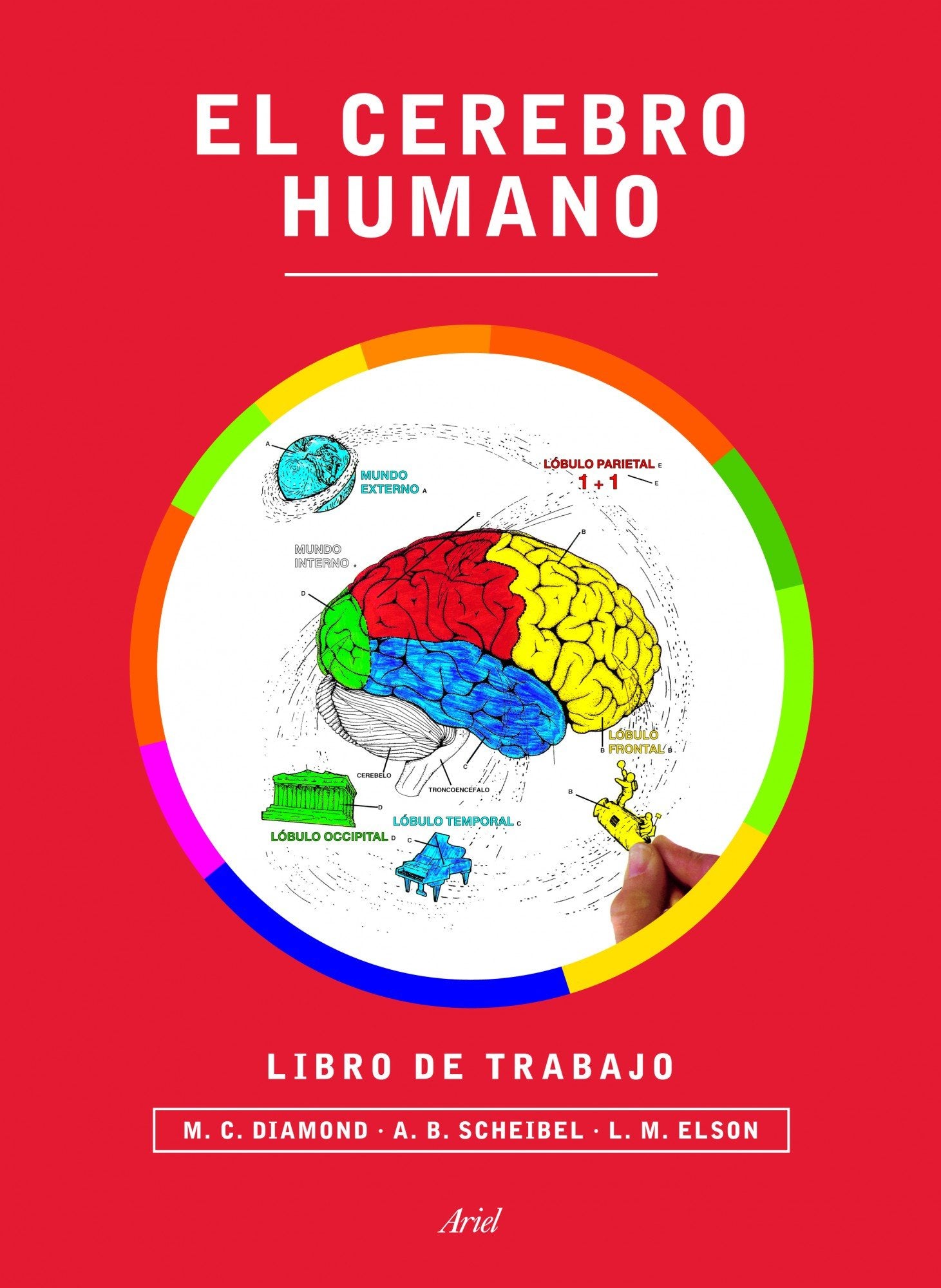 El cerebro humano. Libro de trabajo book