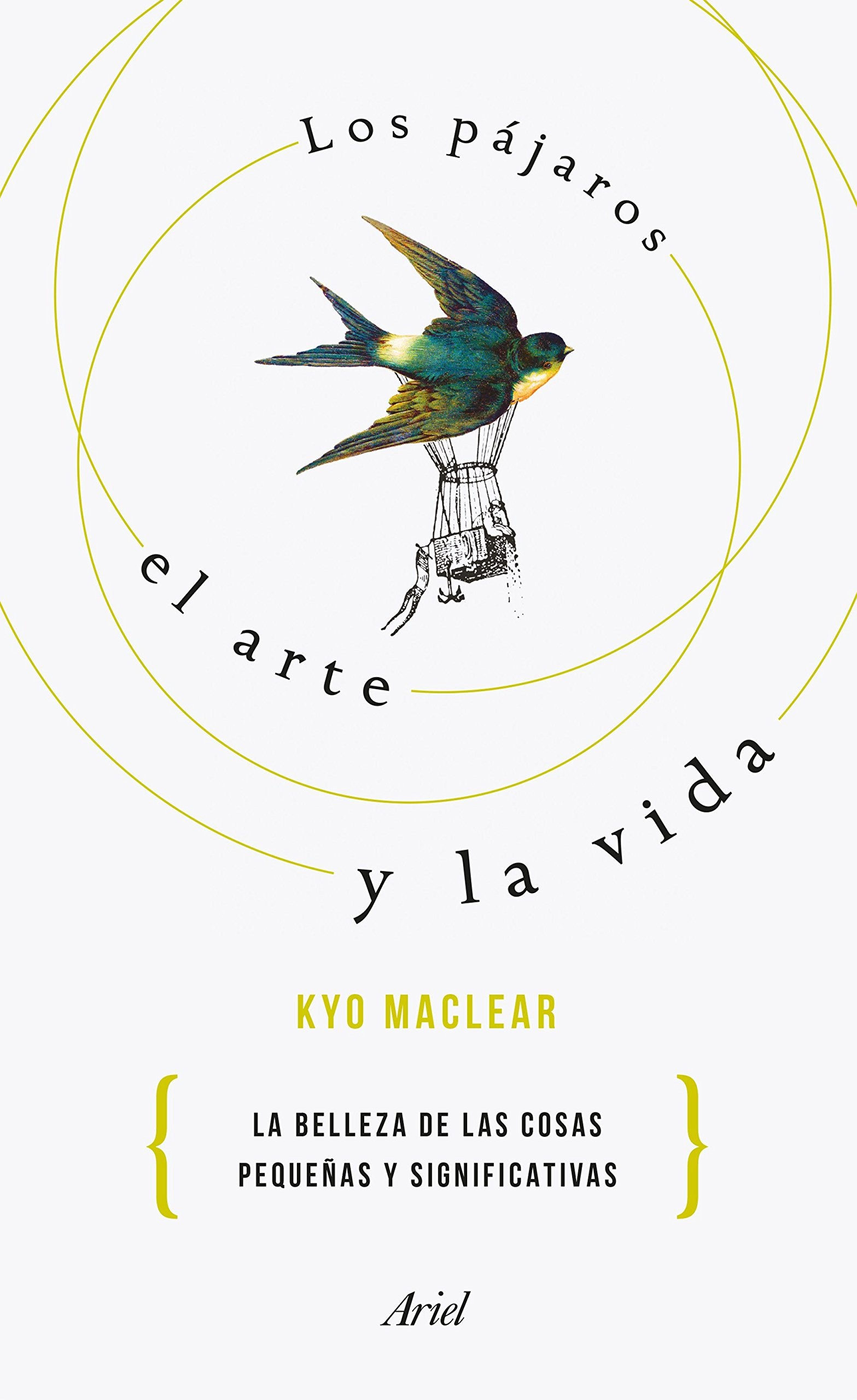 Los pájaros, el arte y la vida : por qué lo pequeño es hermoso : historia de una recuperación: La belleza de las cosas pequeñas y significativas (Ariel) Art & Literature Books