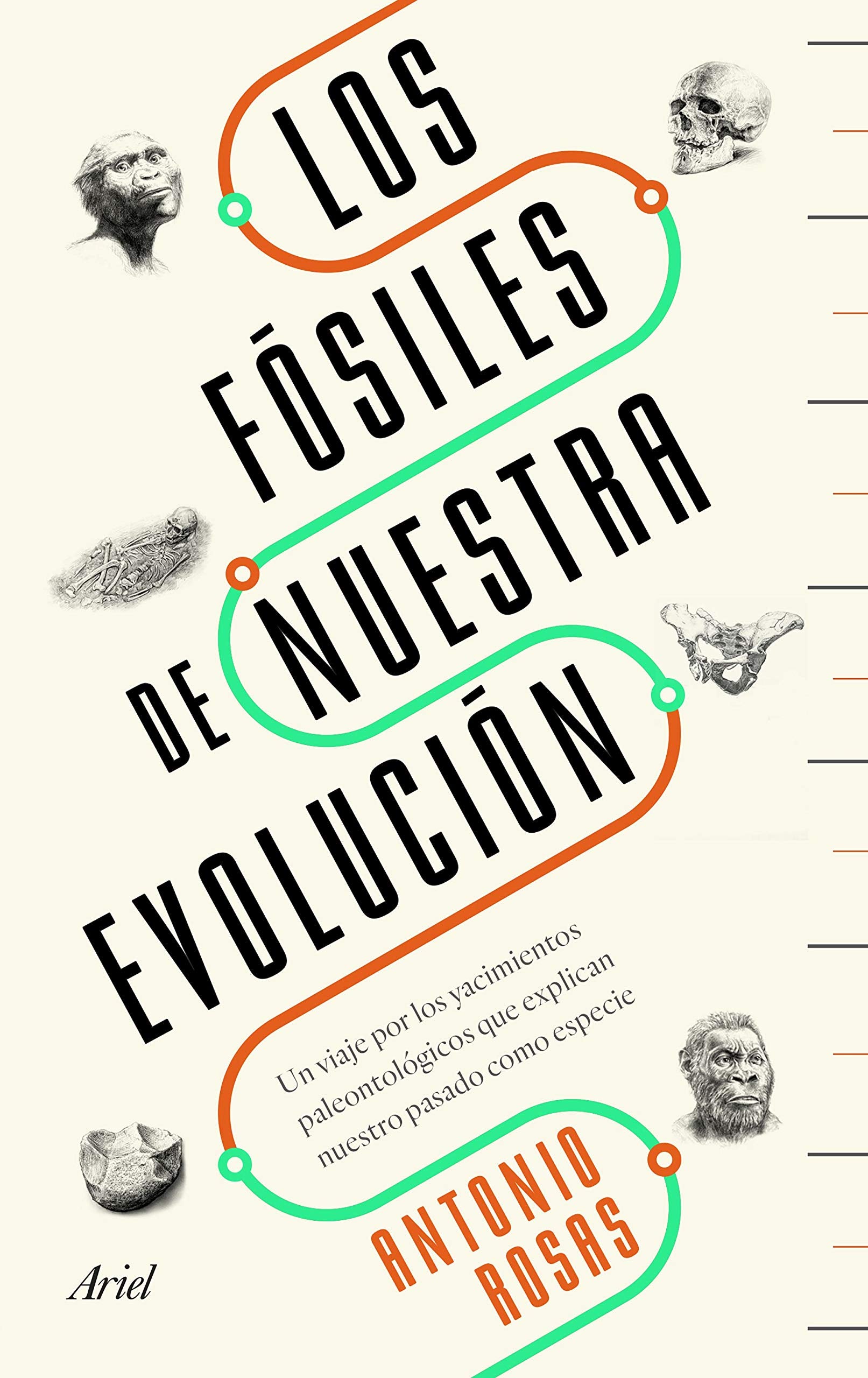 Los fósiles de nuestra evolución: Un viaje por los yacimientos paleontológicos que explican nuestro pasado como especie book
