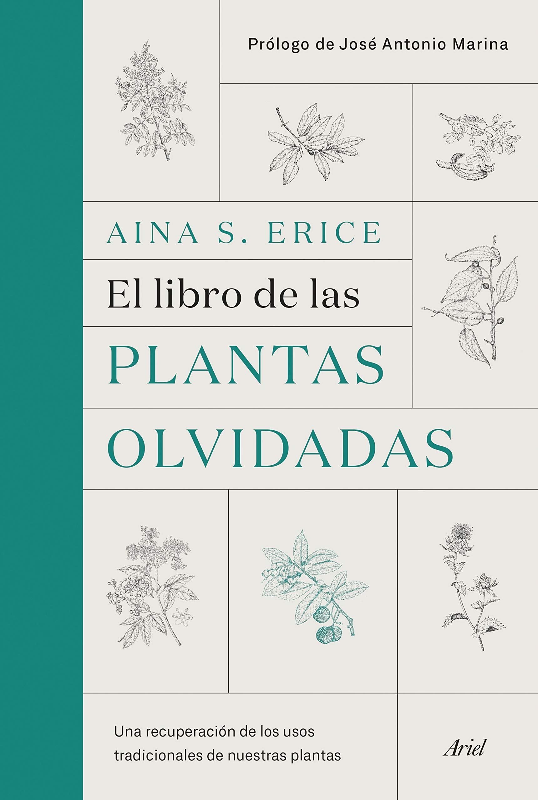 El libro de las plantas olvidadas: Una recuperación de los usos tradicionales de nuestras plantas (Ariel) Books