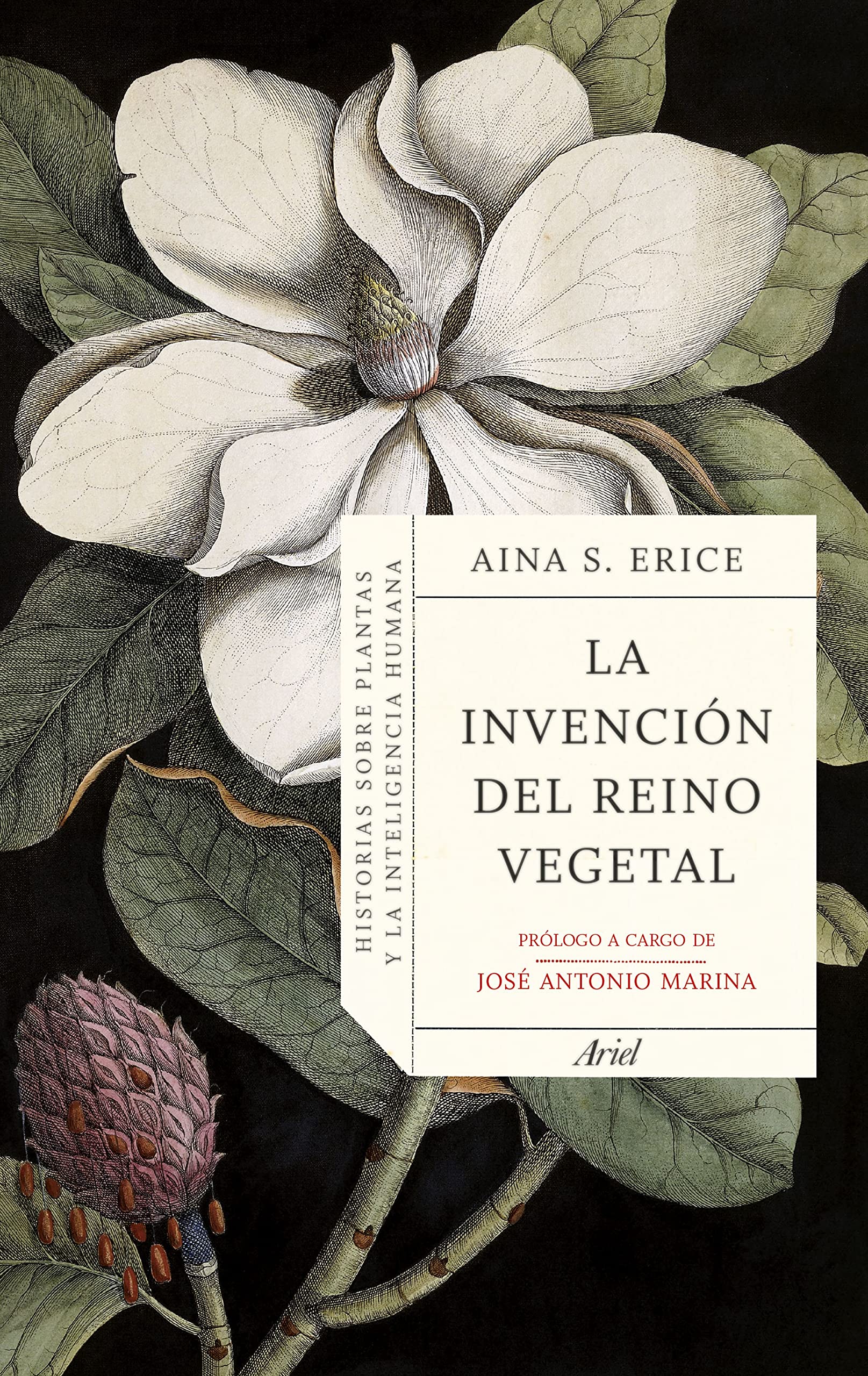 La invención del reino vegetal: Historias sobre plantas y la inteligencia humana (Ariel) Books