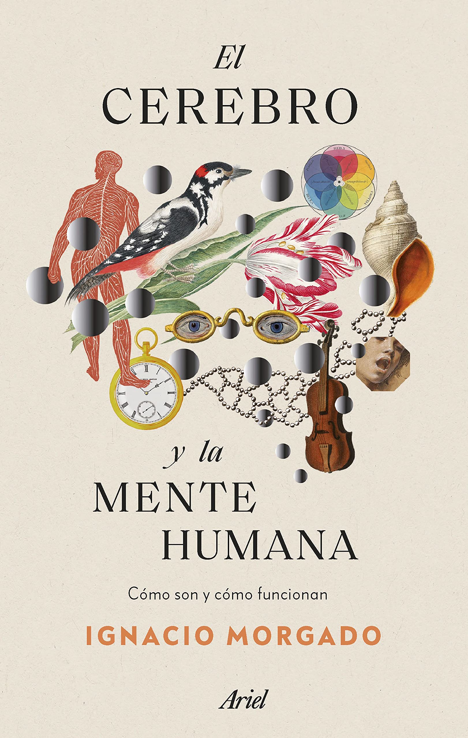 El cerebro y la mente humana: Cómo son y cómo funcionan book