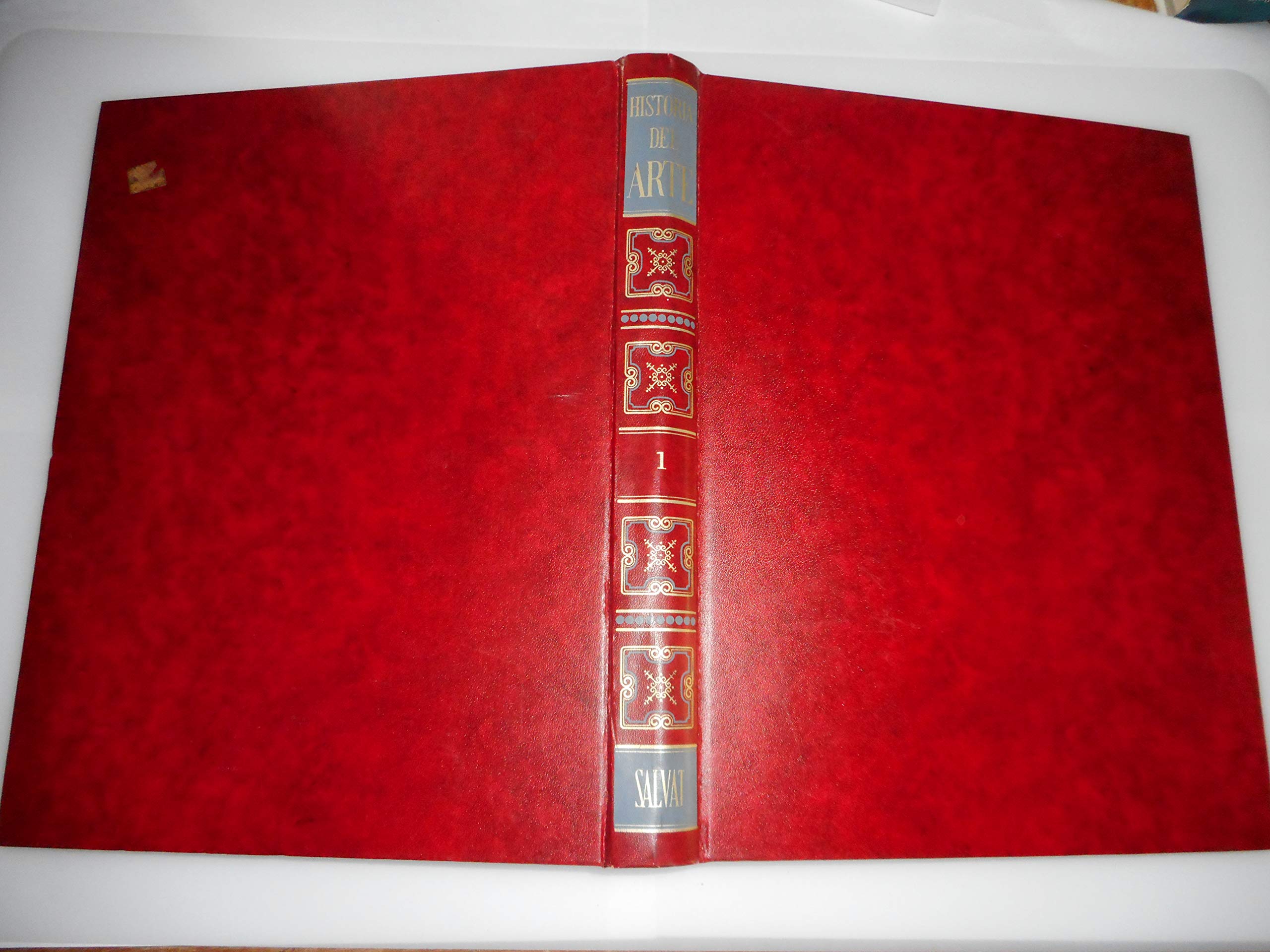 HISTORIA DEL ARTE: TOMO IX (Gaugin; Simbolismo y nabis; Revolución industrial y arquitectura; Modernismo; Fauvismo; Cubismo; El arte Naïf; La escuela de París; Abstracción geom book