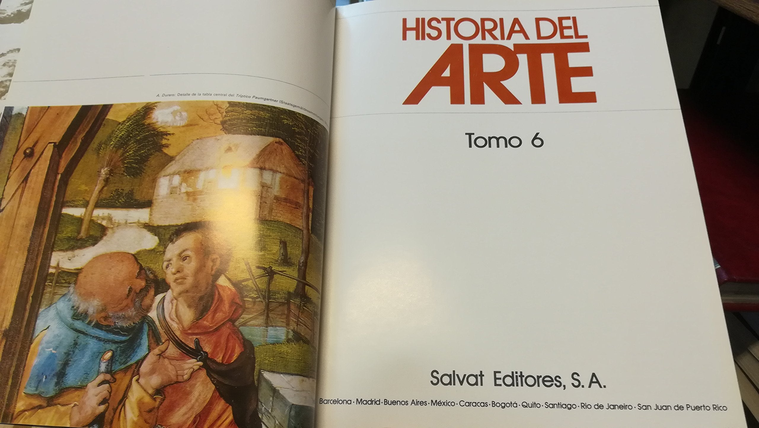 Historia del Arte; Tomo VI book