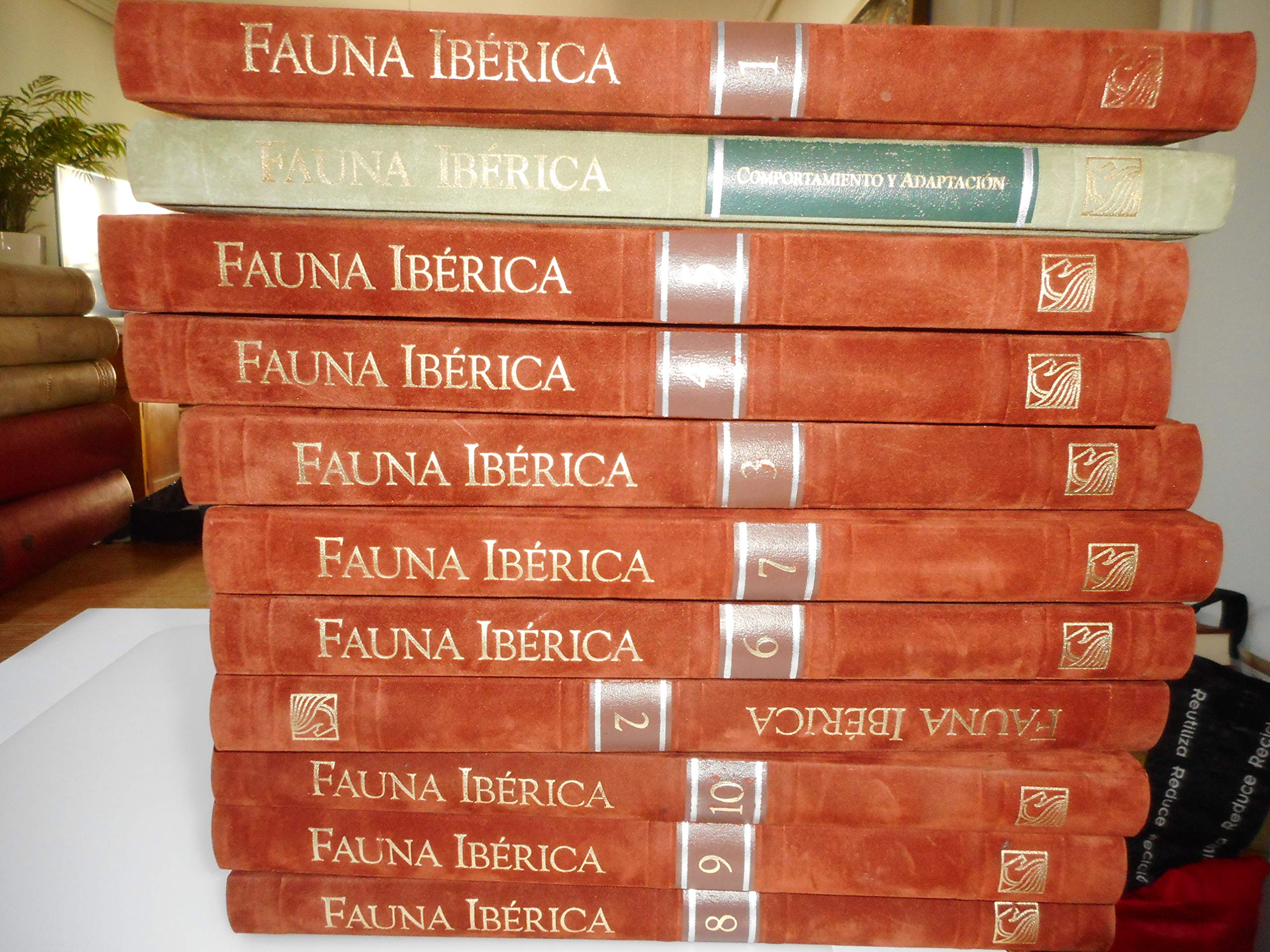 Enciclopedia Salvat de la fauna ibérica y europea Books