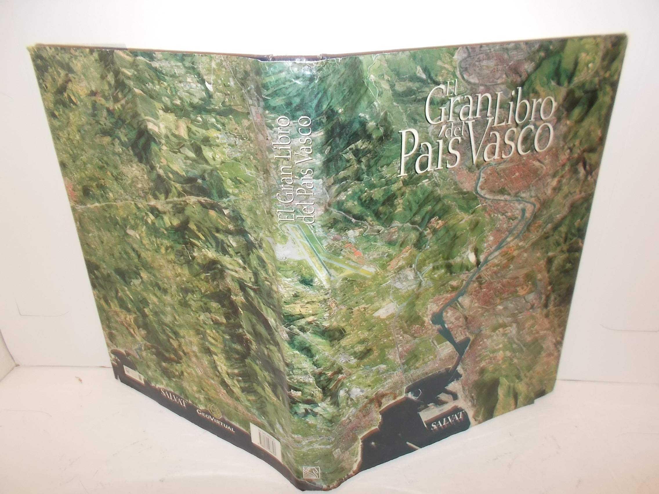 Pais vasco - el gran libro del book