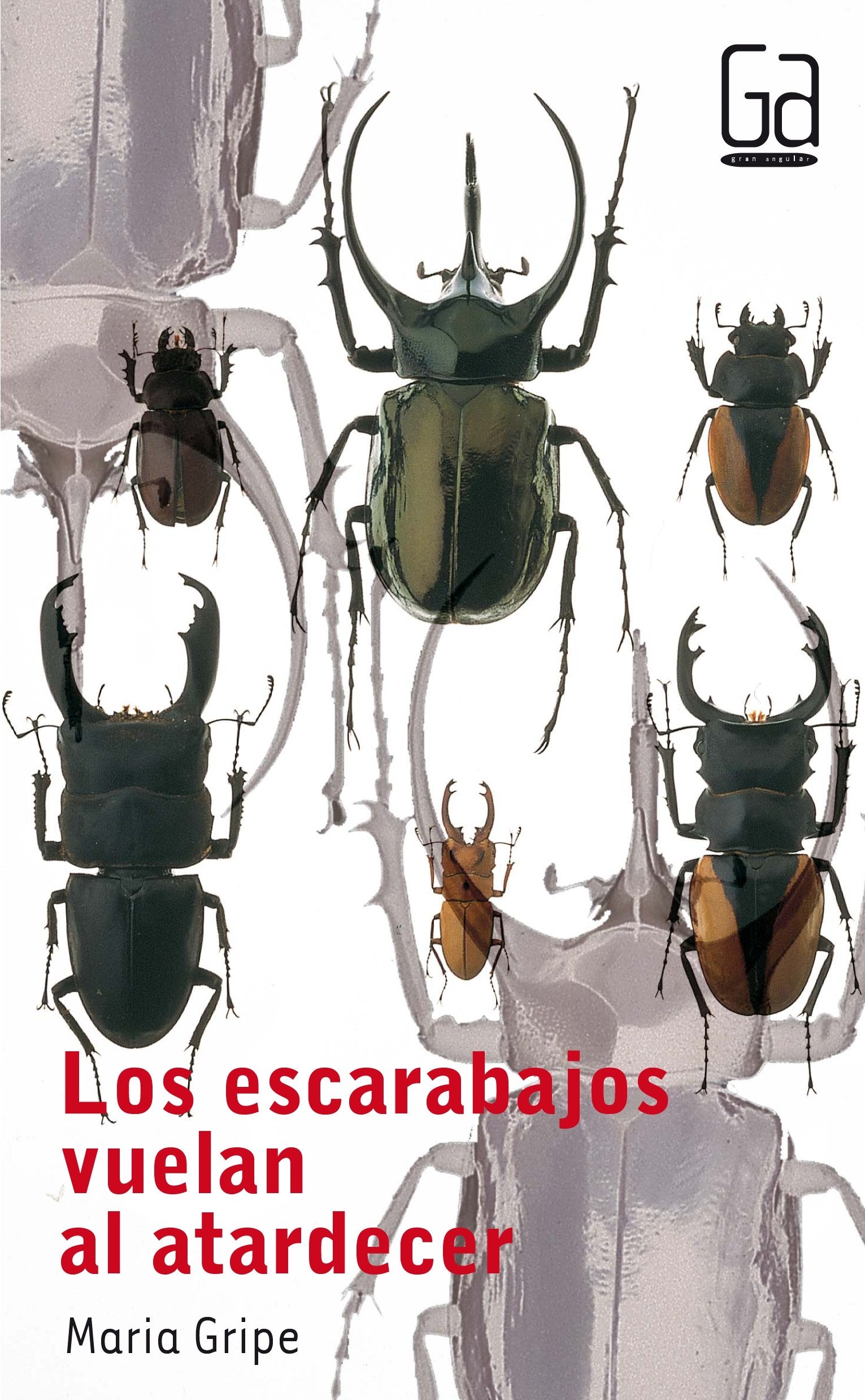 Los escarabajos vuelan al atardecer (Gran Angular, Band 31) Social Sciences