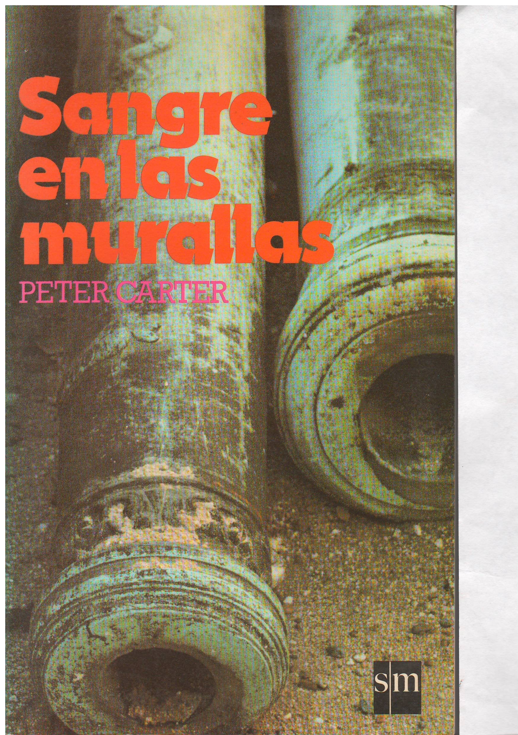 Sangre En Las Murallas/Children of the Book (Coleccion Gran Angular, 61) Books