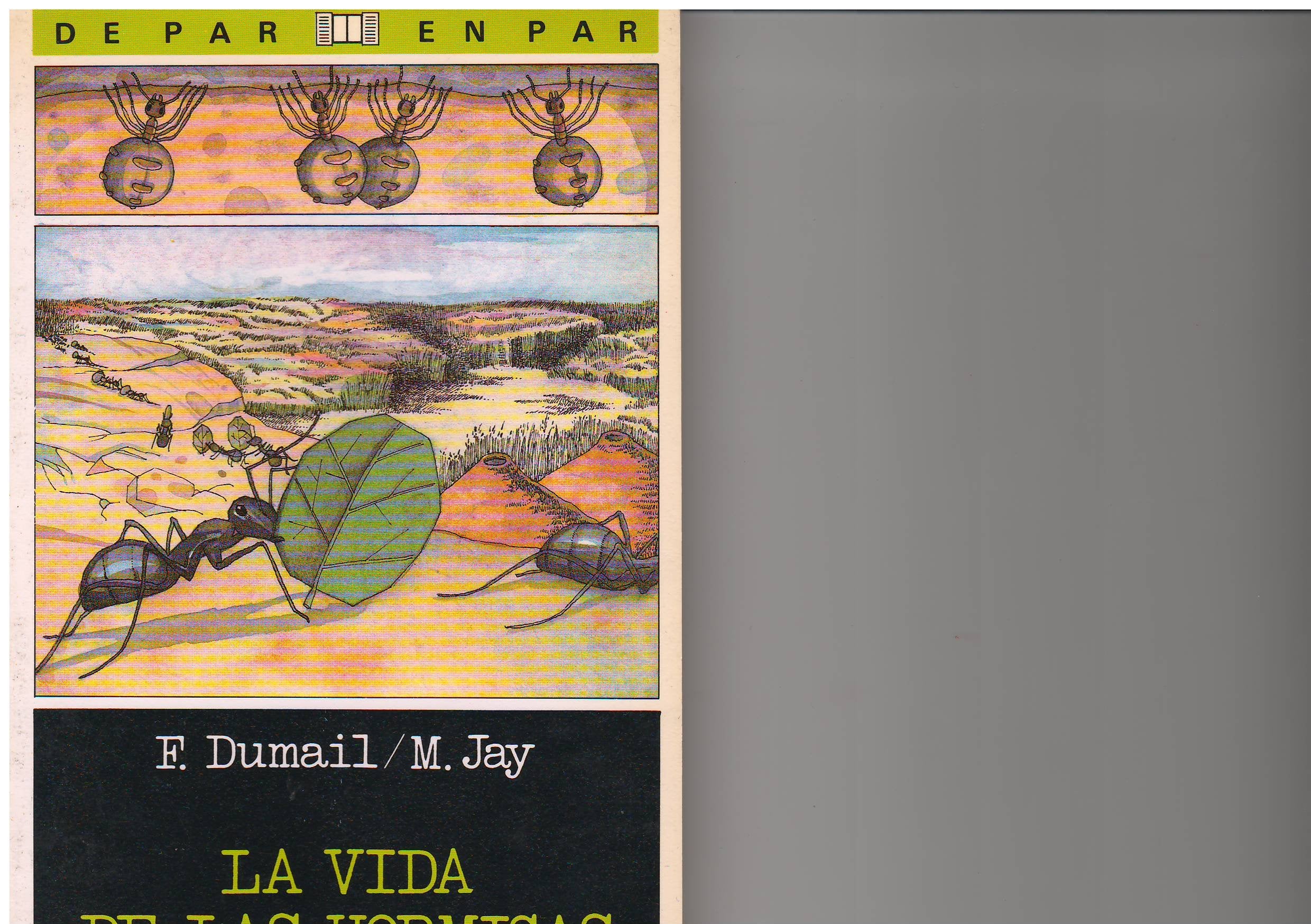 Vida de las hormigas la book