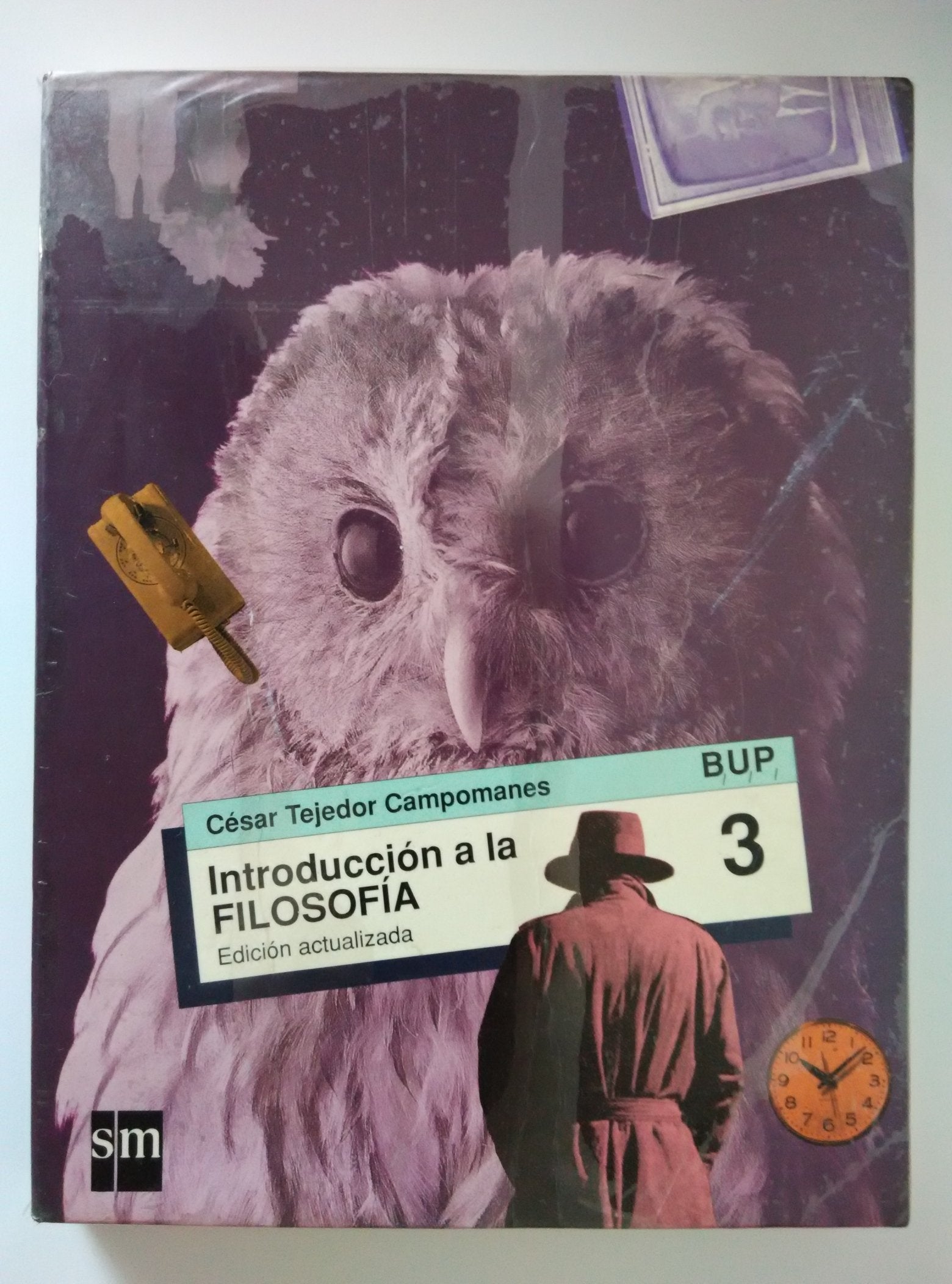Introduccion a la filosofia : 3 bup book