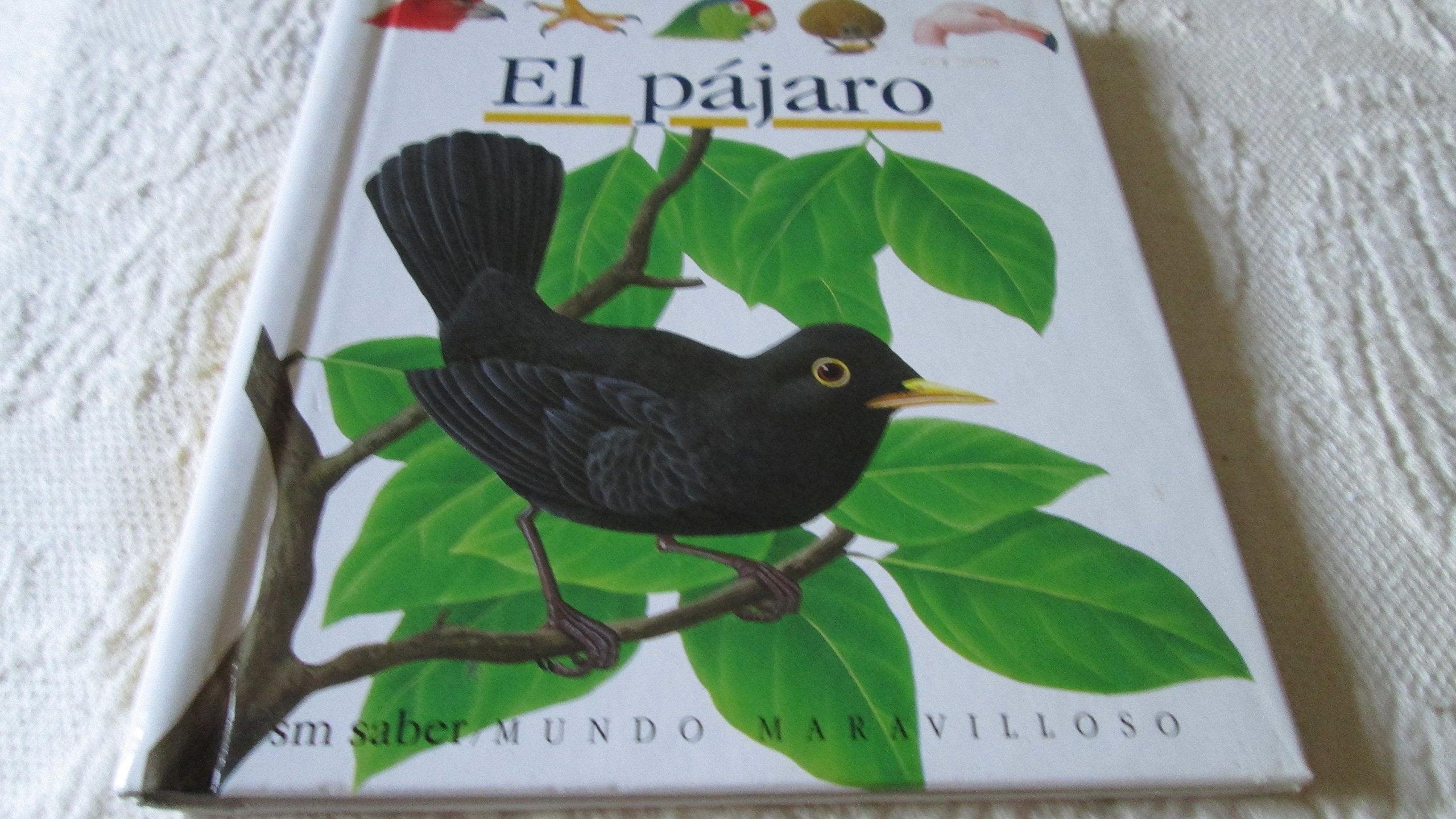 El pájaro (Mundo maravilloso, Band 12) Children's books