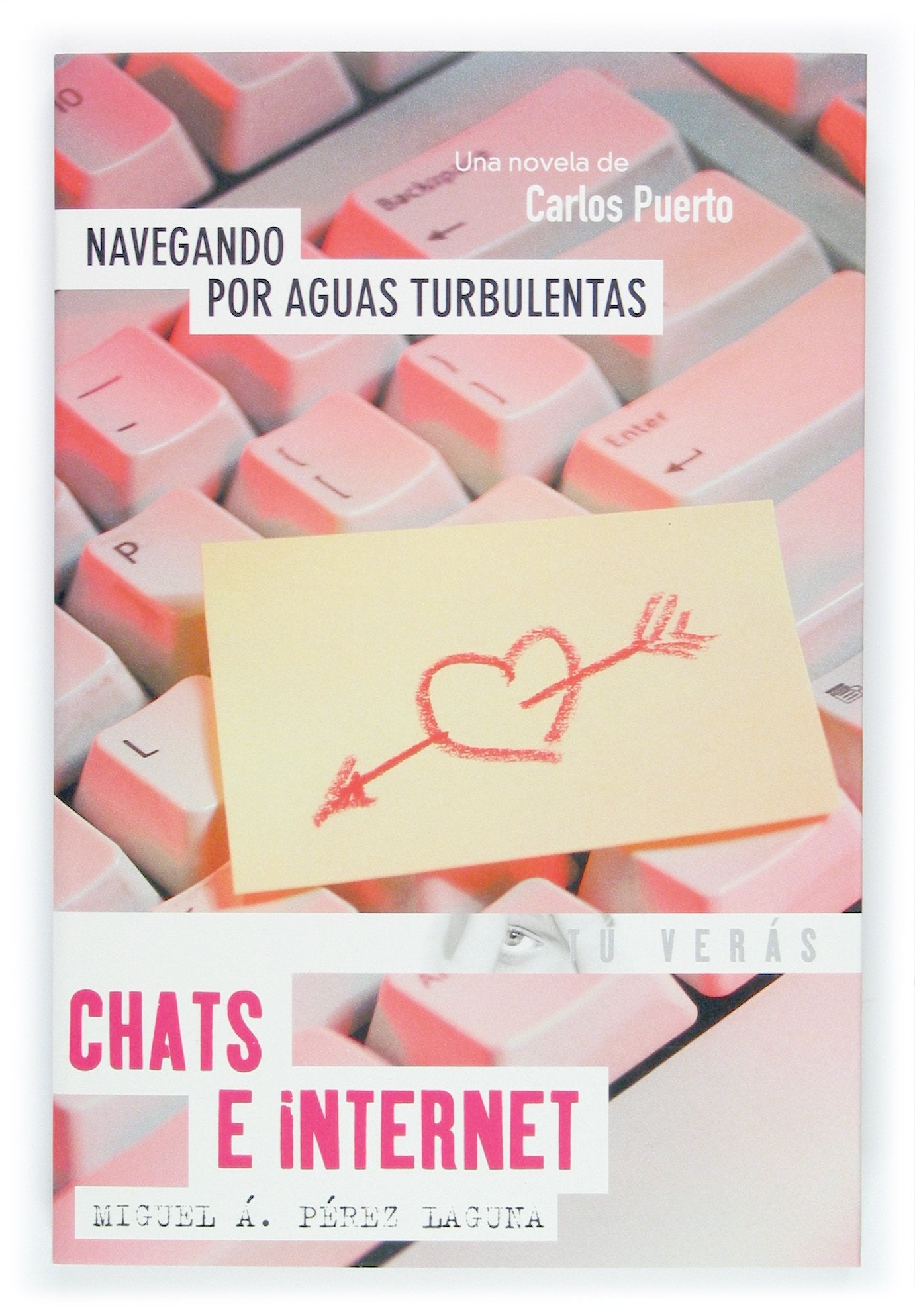 Navegando por aguas Turbulentas / Navigating through Turbulent Waters: Chats E Internet / Chats book
