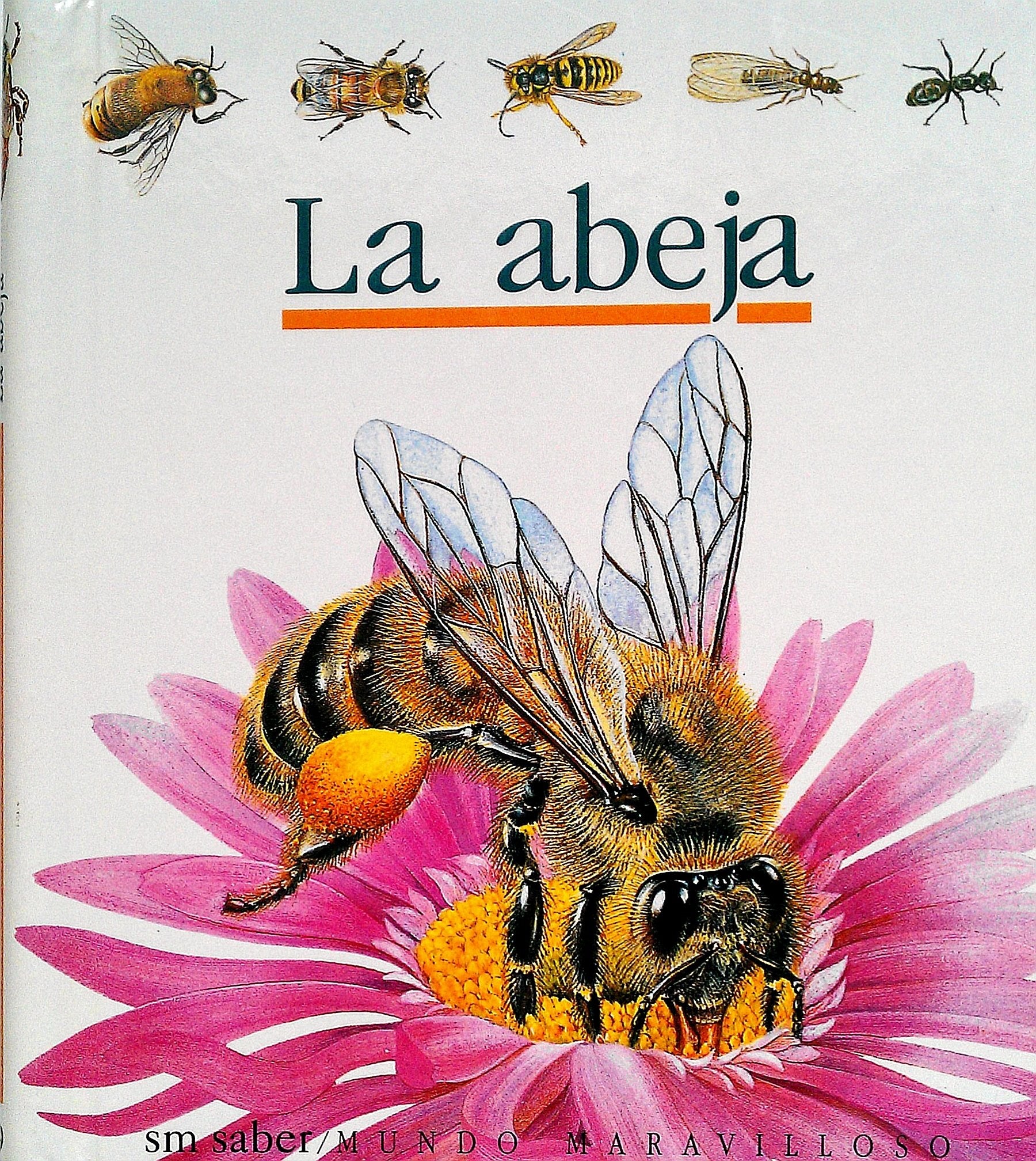 La abeja (Mundo maravilloso, Band 19) Non-fiction