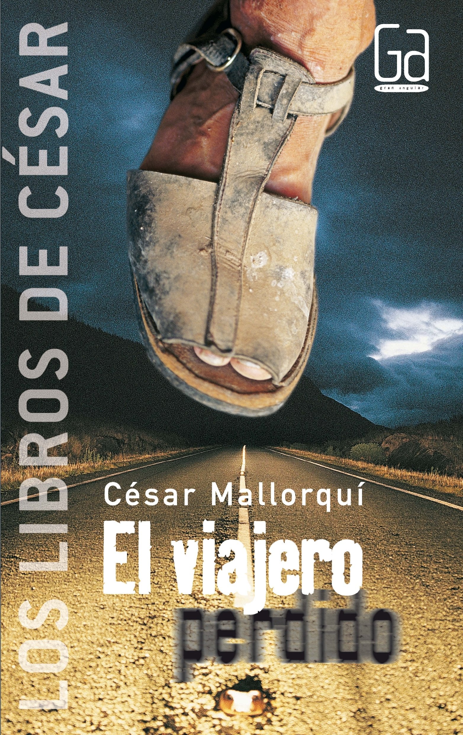 El viajero perdido book