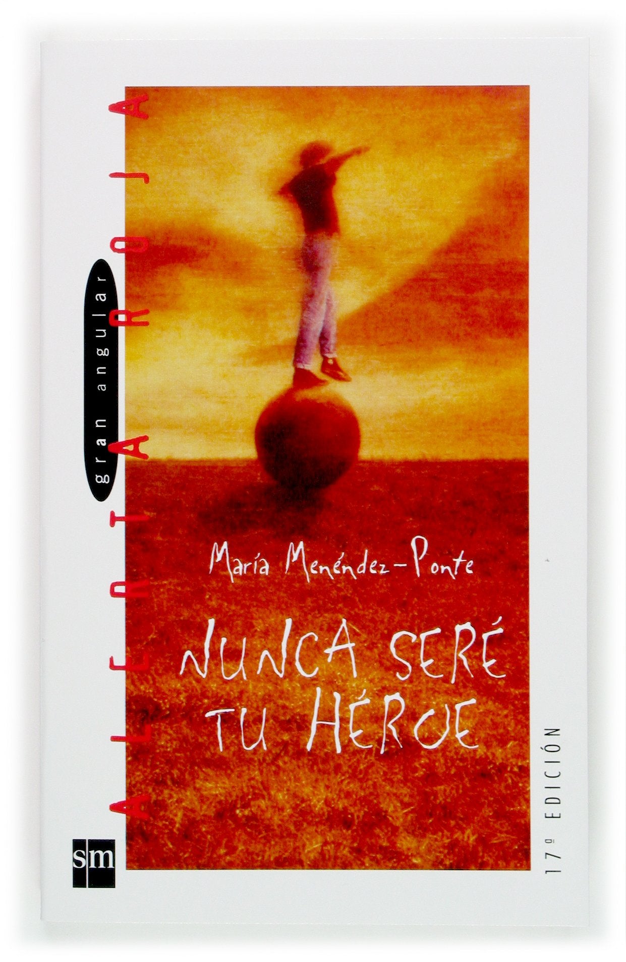 Nunca sere tu heroe/ I Will Never Be Your Hero book