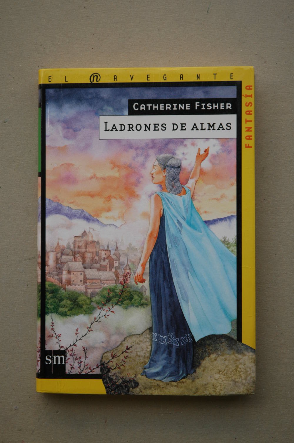Ladrones de almas: 6 (El navegante) book