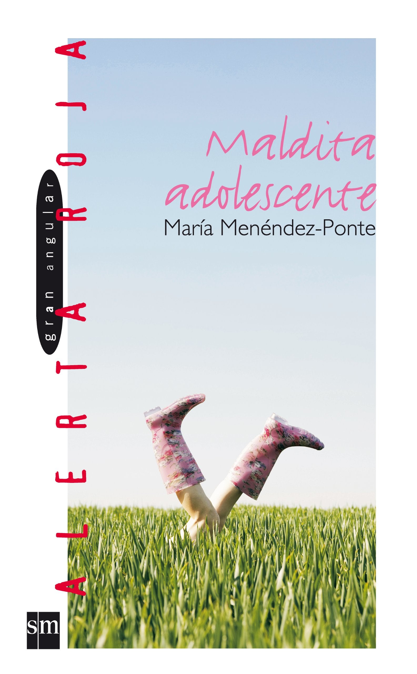 Maldita Adolescente/ Damn Adolescent book