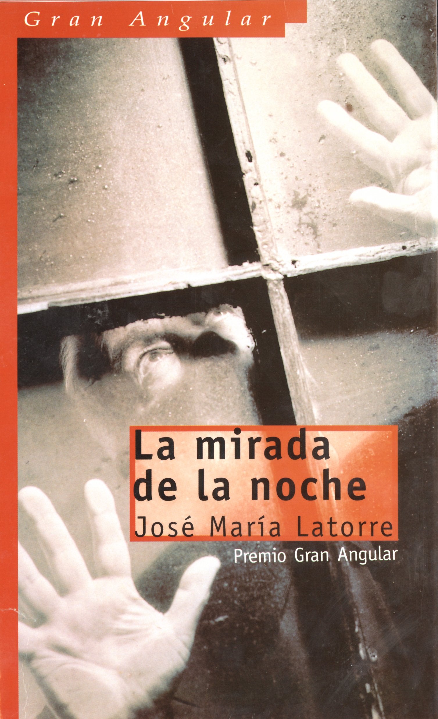 La mirada de la noche / The Look of the Night book