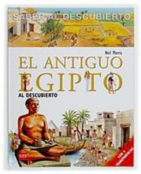 El Antiguo Egipto al descubierto book