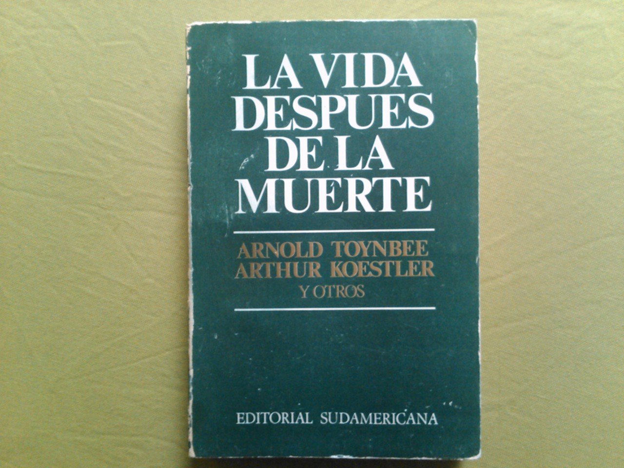 LA Vida Despues De LA Muerte book