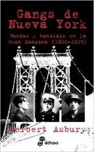 Gangs De Nueva York/ Gangs of New York book