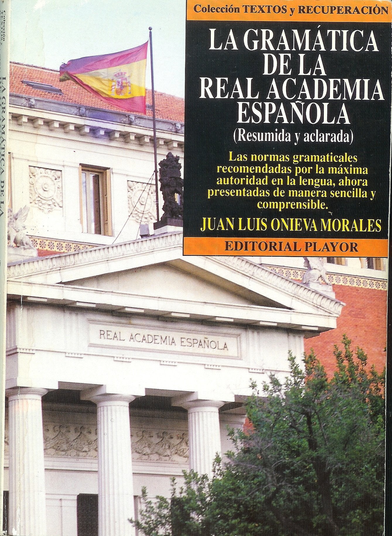 La gramática de la Real Academia : resumida y aclarada Foreign Languages ​​& Dictionaries