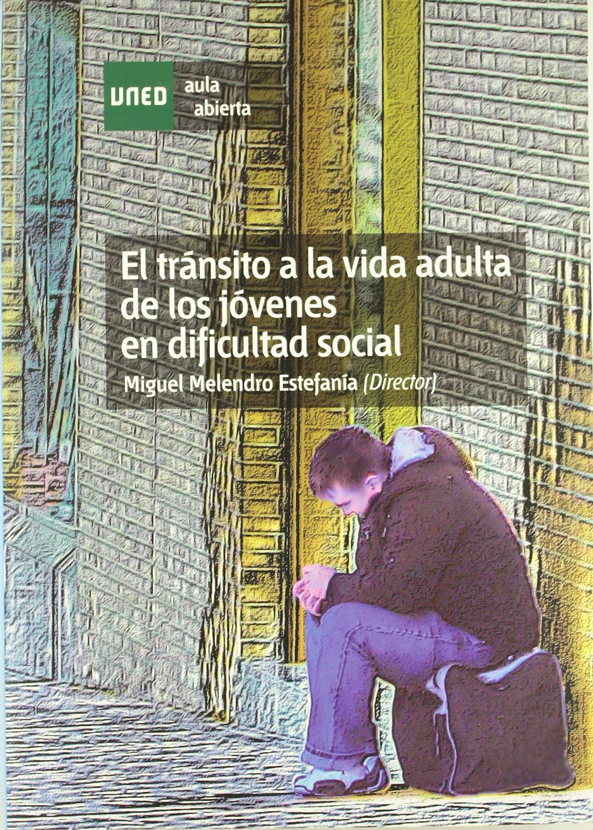 El tránsito a la vida adulta de los jóvenes en dificultad social book