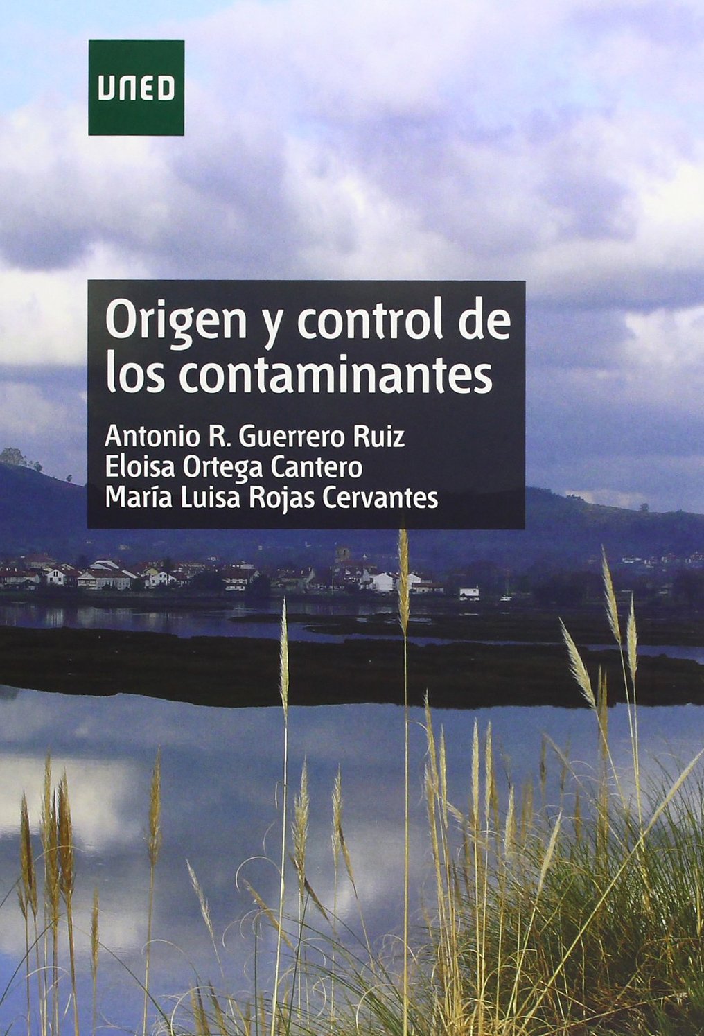 Origen y control de los contaminantes book