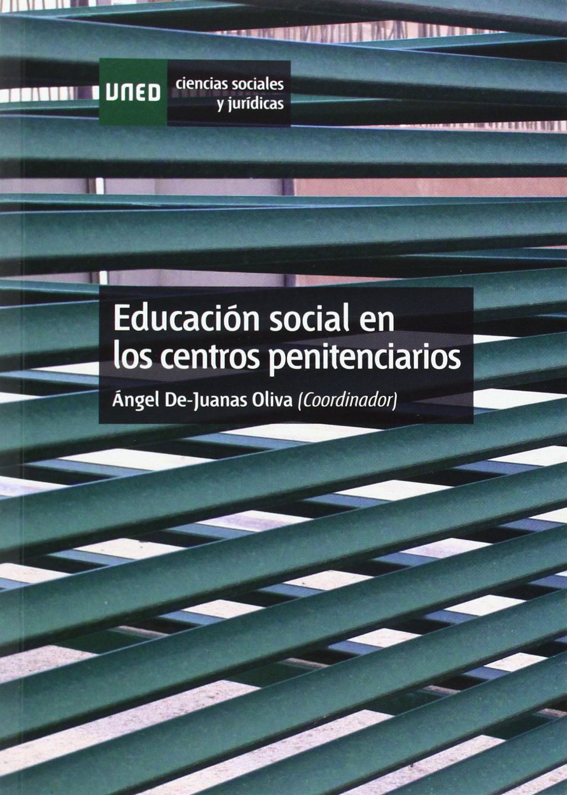 Educación social en los centros penitenciarios book