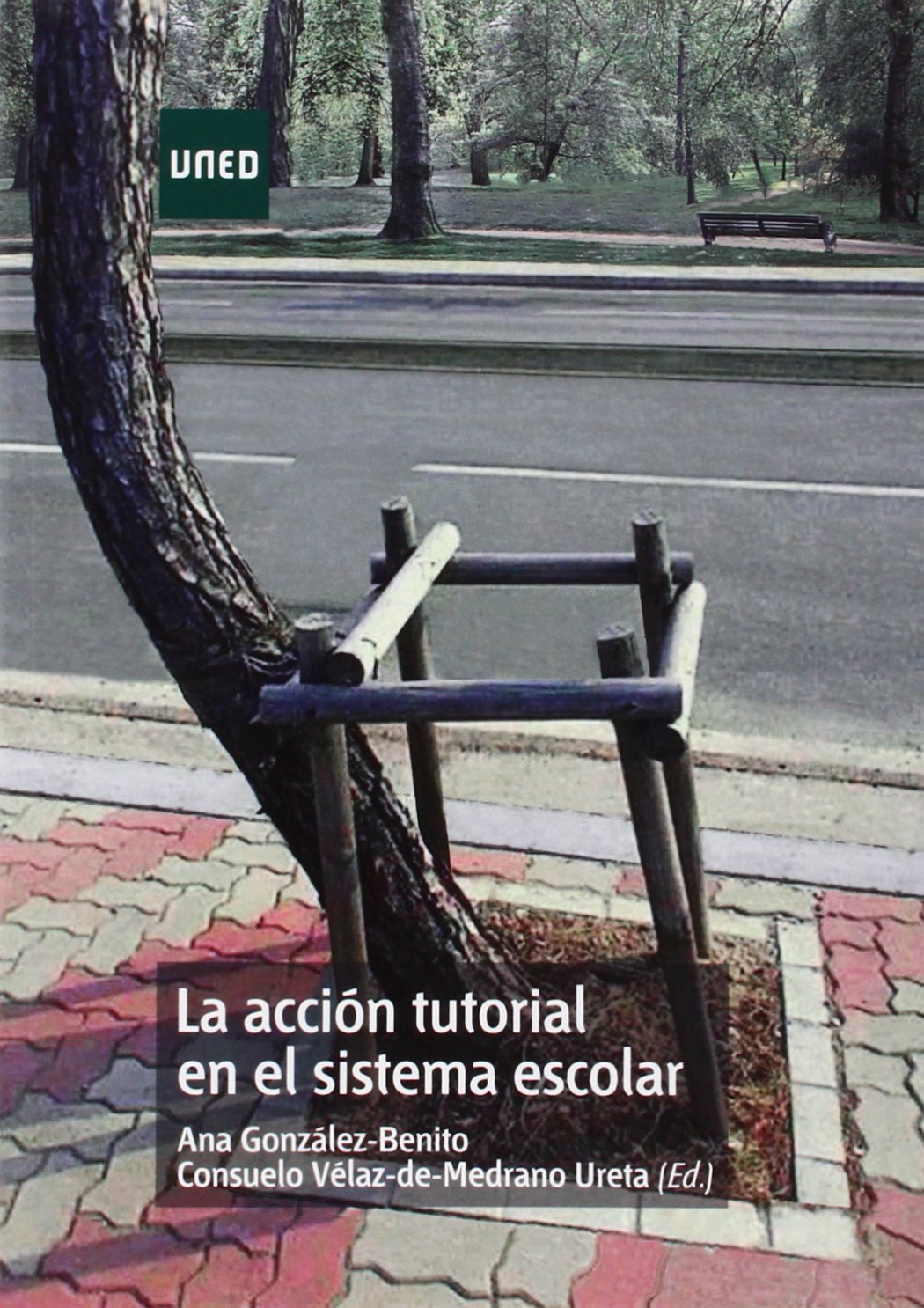 La acción tutorial en el sistema escolar (GRADO) Education & Training