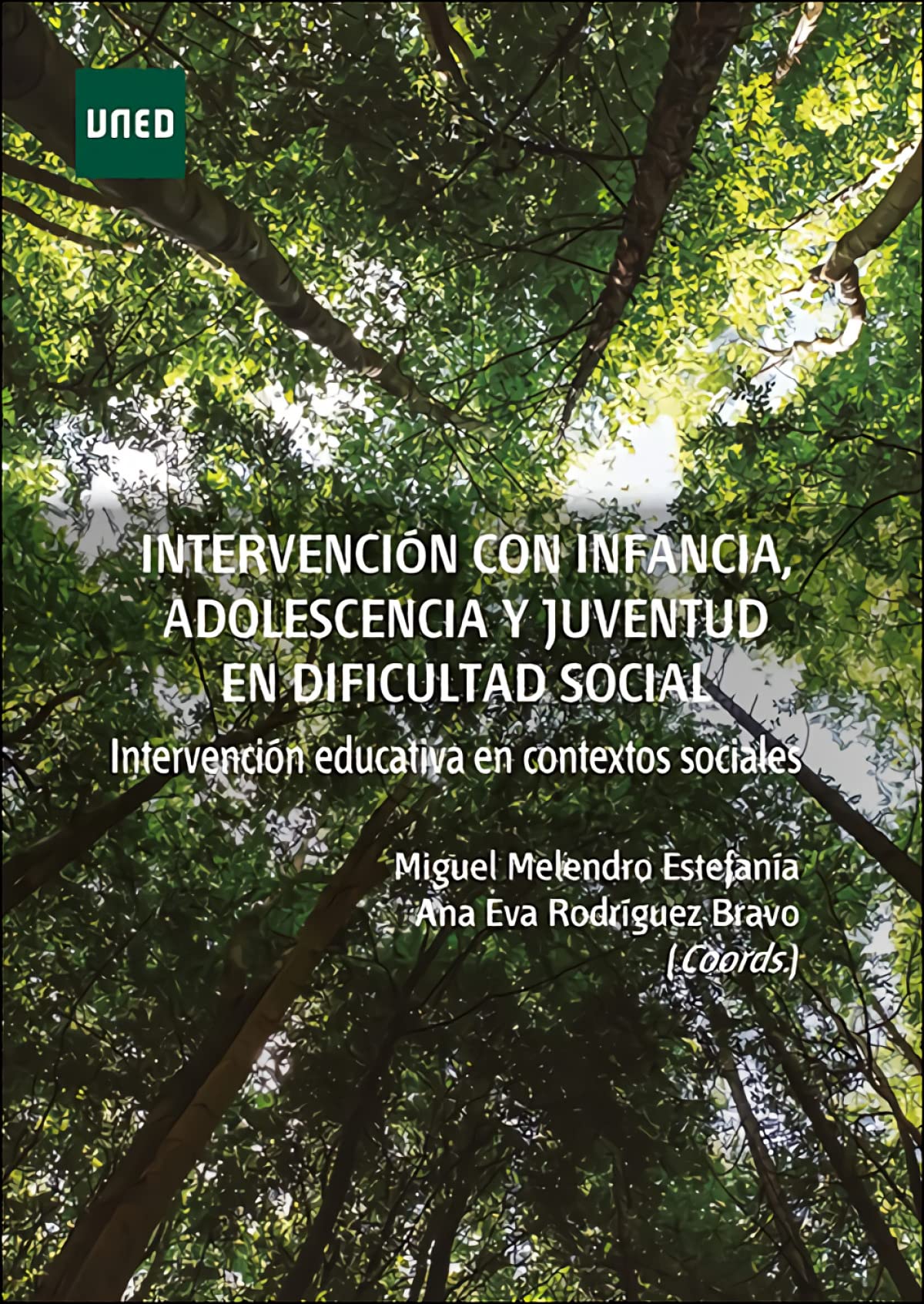 Intervención con infancia, adolescencia y juventud en dificultad social. Intervención educativa en contextos sociales book