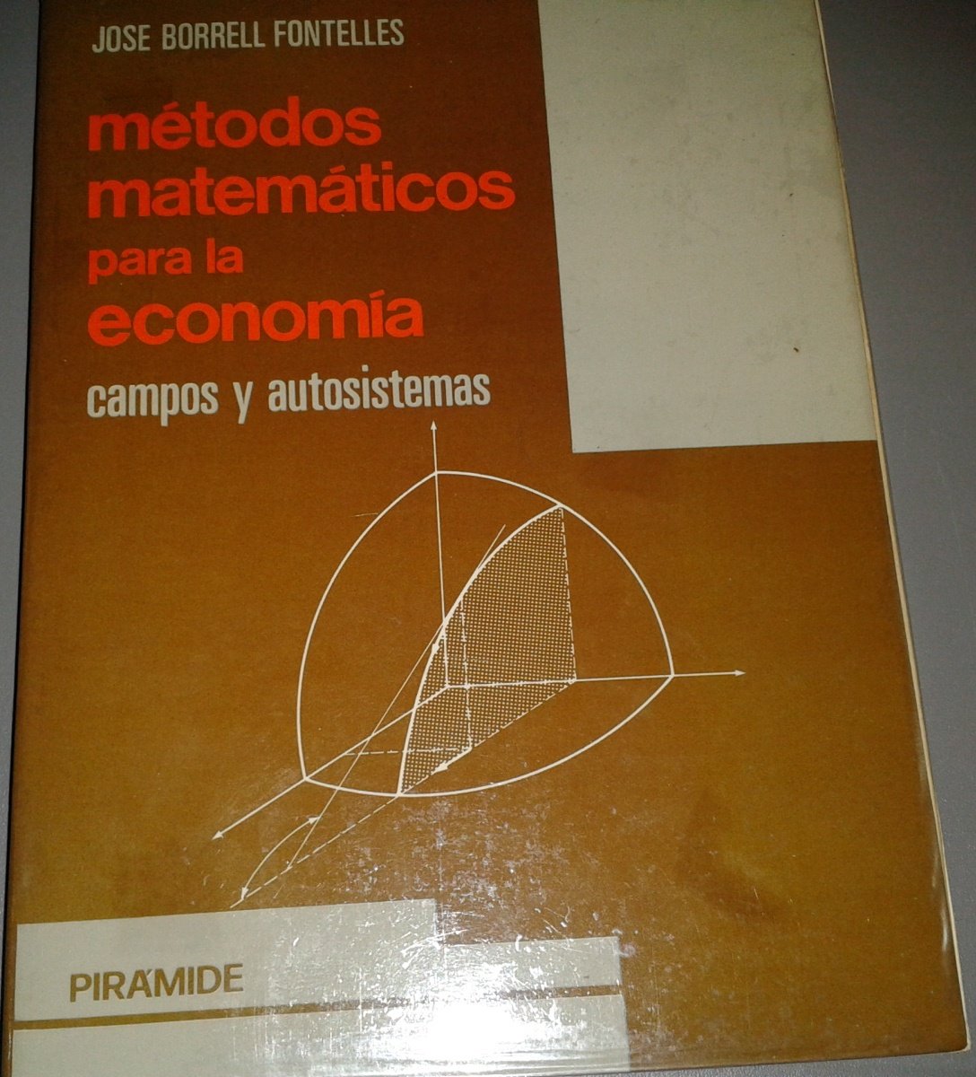 Metodos matematicos para la economia : Campos y autosistemas book