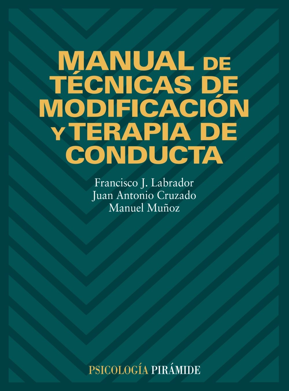 Manual De Tecnicas De Modificacion Y Terapia De Conducta / Manual of Modification Techniques and Conduct Therapy book