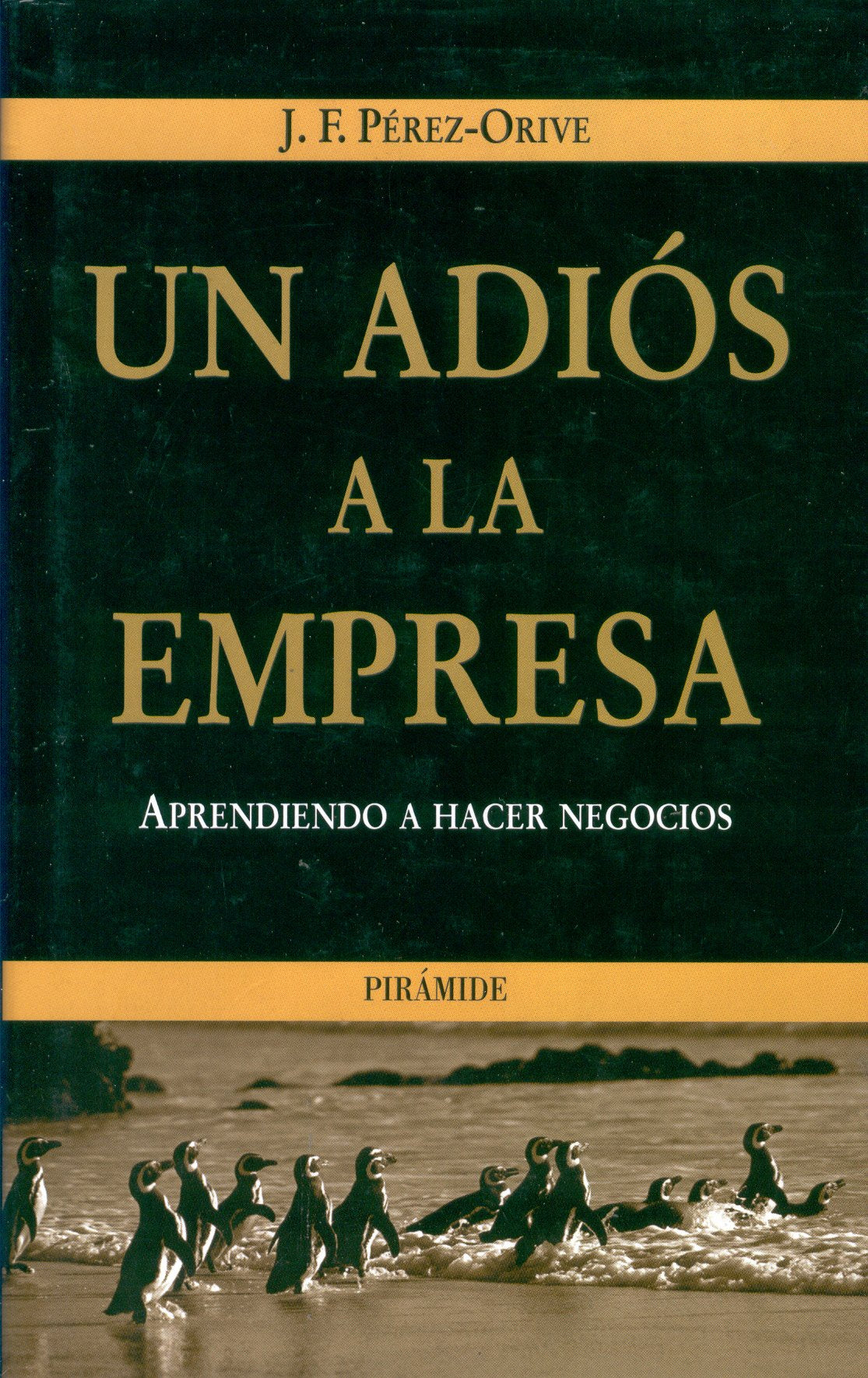 Un adiós a la empresa. Aprendiendo a hacer negocios Books