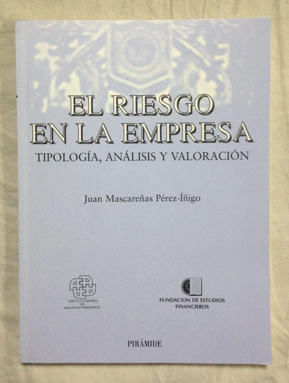 El riesgo en la empresa / Risk in the Enterprise: Tipologia, Analisis Y Valoracion (Economia Y Empresa) Law