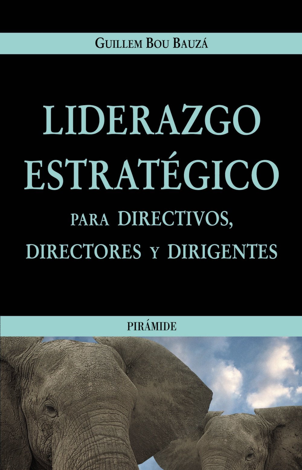 Liderazgo estratégico para directivos, directores y dirigentes (Empresa y Gestión) Business, Finance & Career