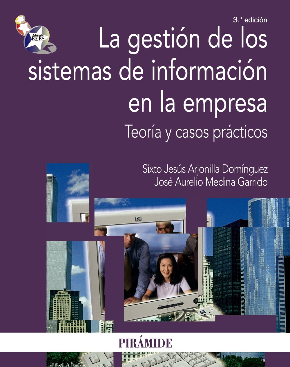 La gestion de los sistemas de informacion en la empresa/ The Management of Information Systems in the Enterprise: Teoria Y Casos Practicos/ Theory and Case Studies book
