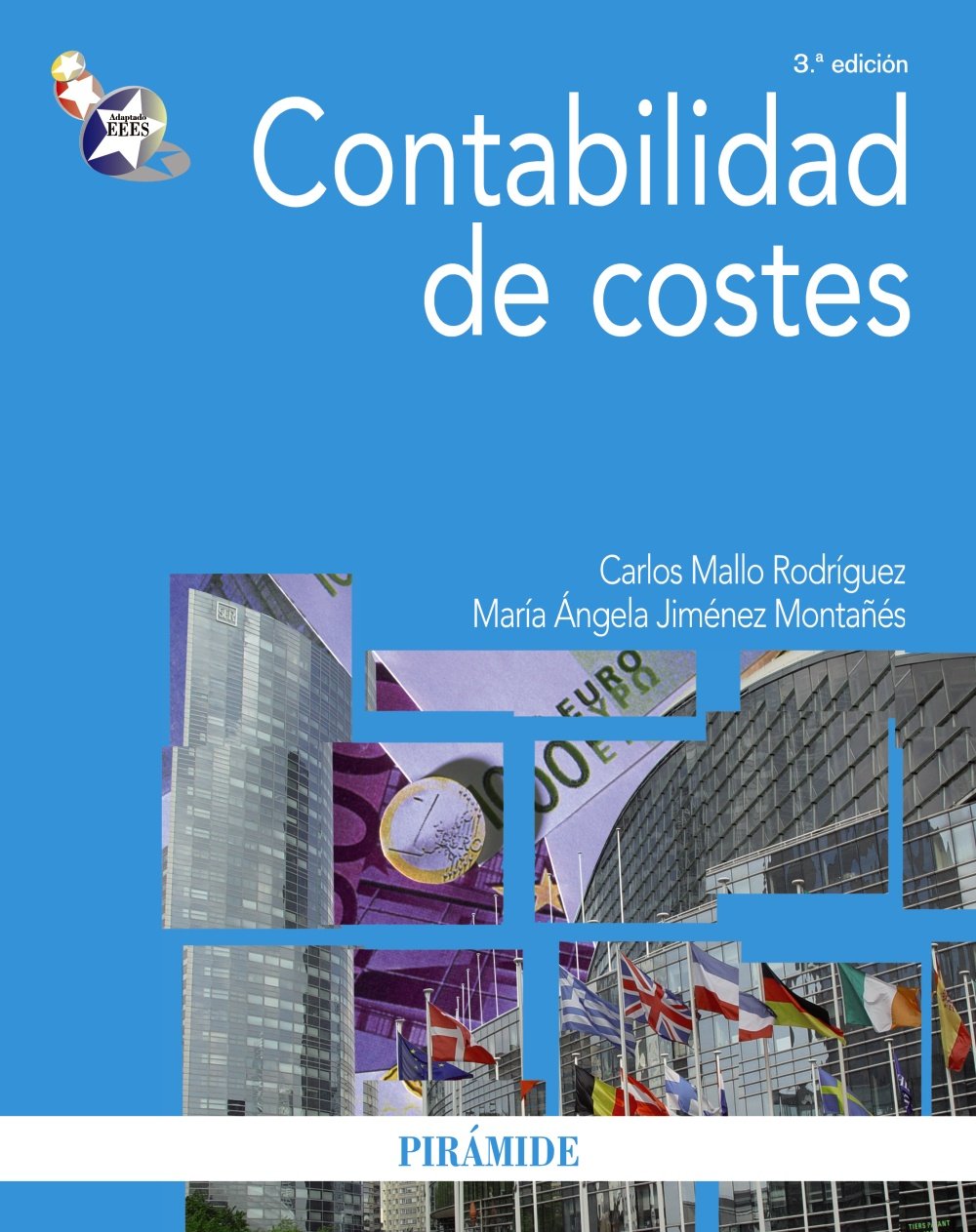 Mallo Rodríguez, C: Contabilidad de costes book