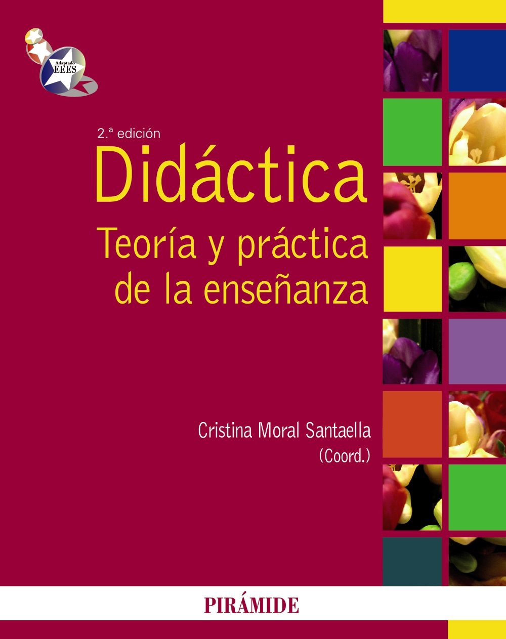 Didactica / Didactics: Teoria y practica de la ensenanza / Theory and Practice of Teaching book