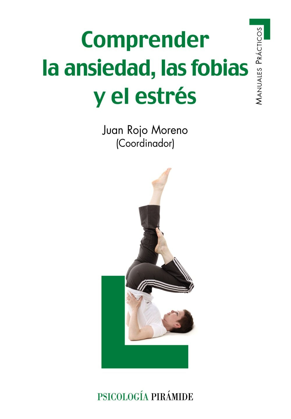 Comprender la ansiedad, las fobias y el estres / Understanding anxiety, phobias and stress book