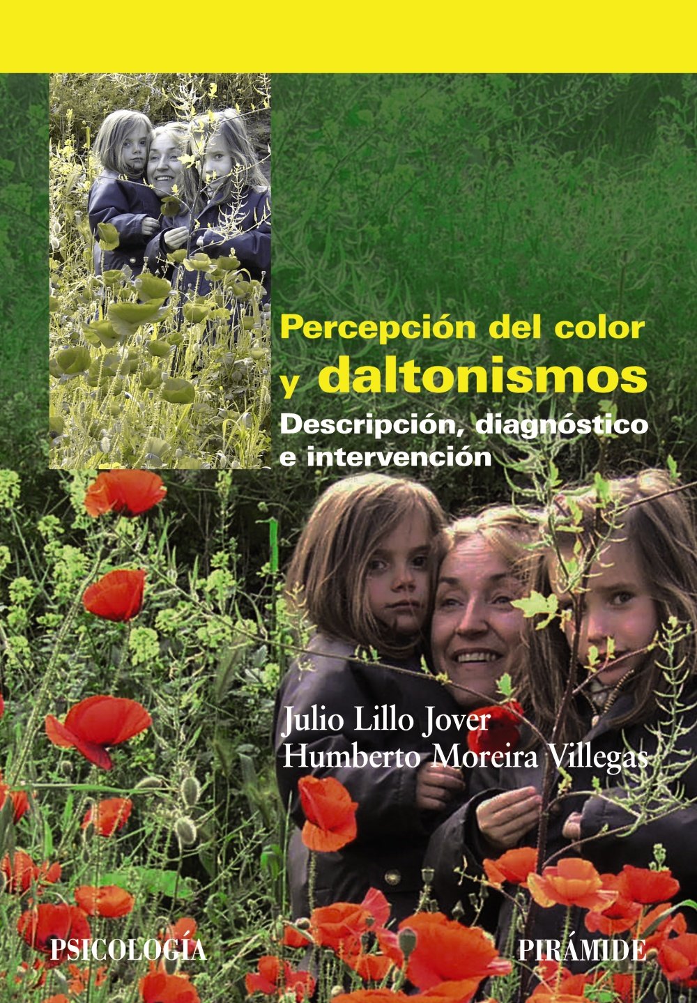 Percepción del color y daltonismos / Perception of color color blindness: Descripción, diagnóstico e intervención / Description, Diagnosis And Intervention book